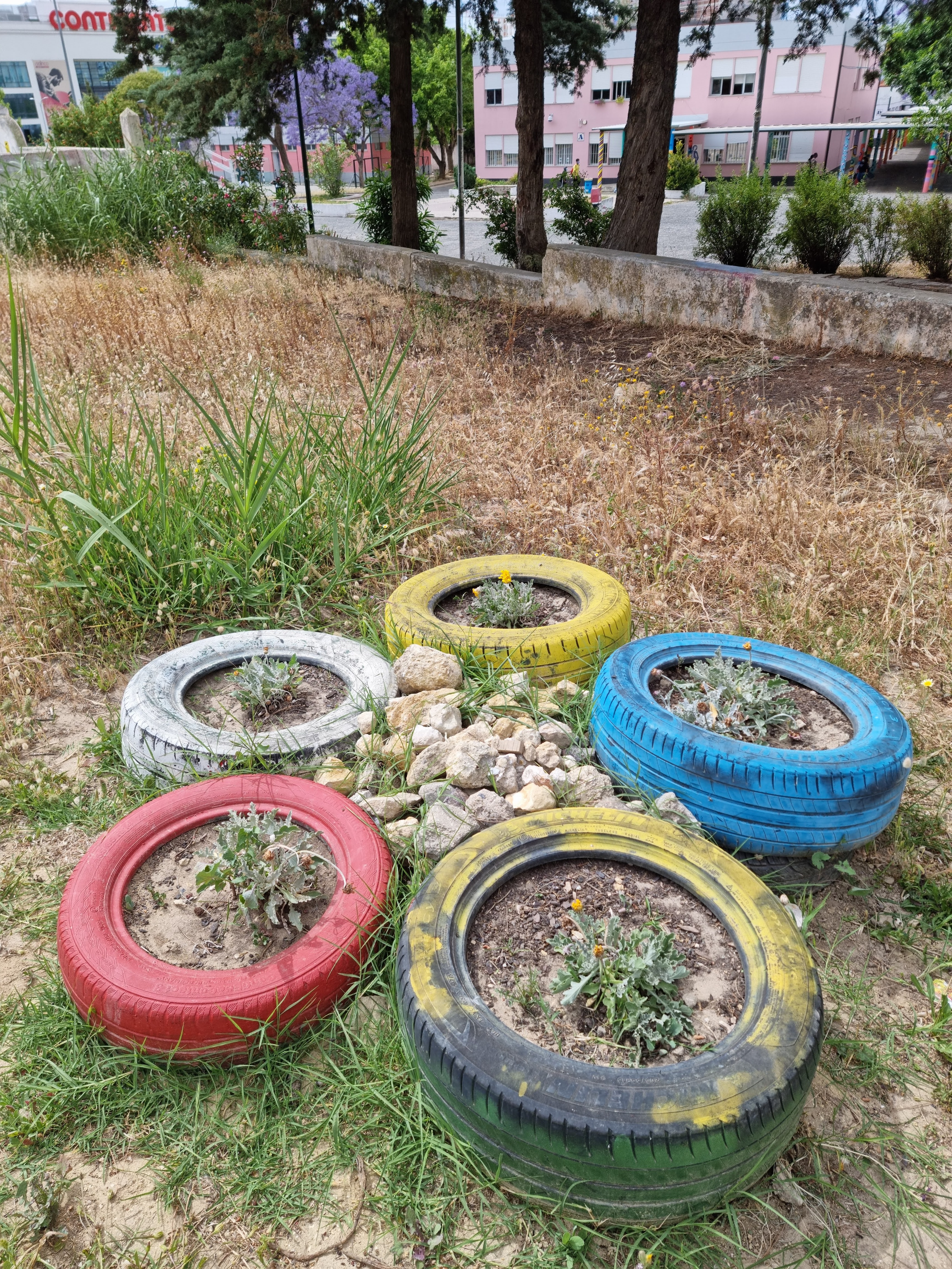 Canteiro de pneus reutilizados e hotel de répteis no centro, construído com pedras retiradas do solo. Duas formas de valorização dos espaços verdes da escola recorrendo a práticas ambientalmente corretas