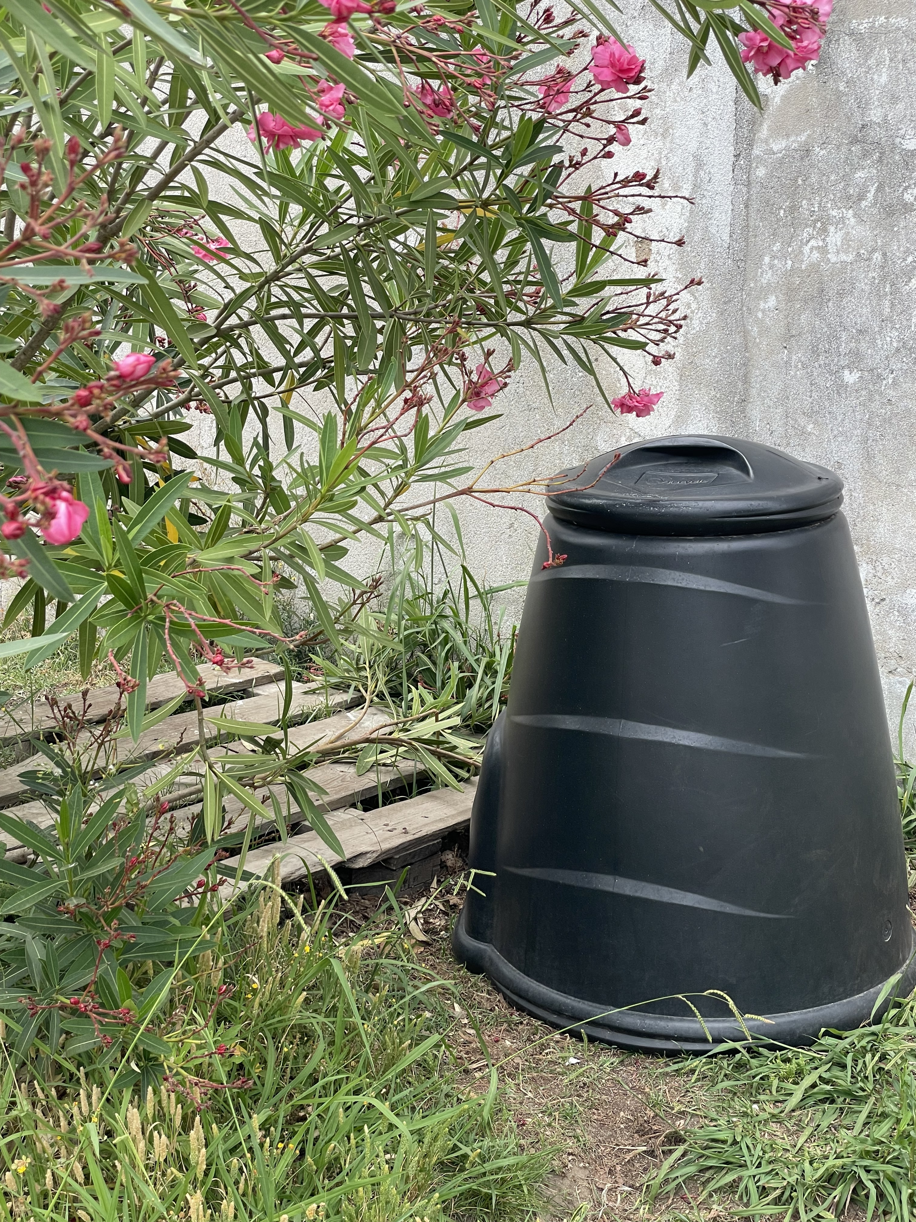 Posto de compostagem