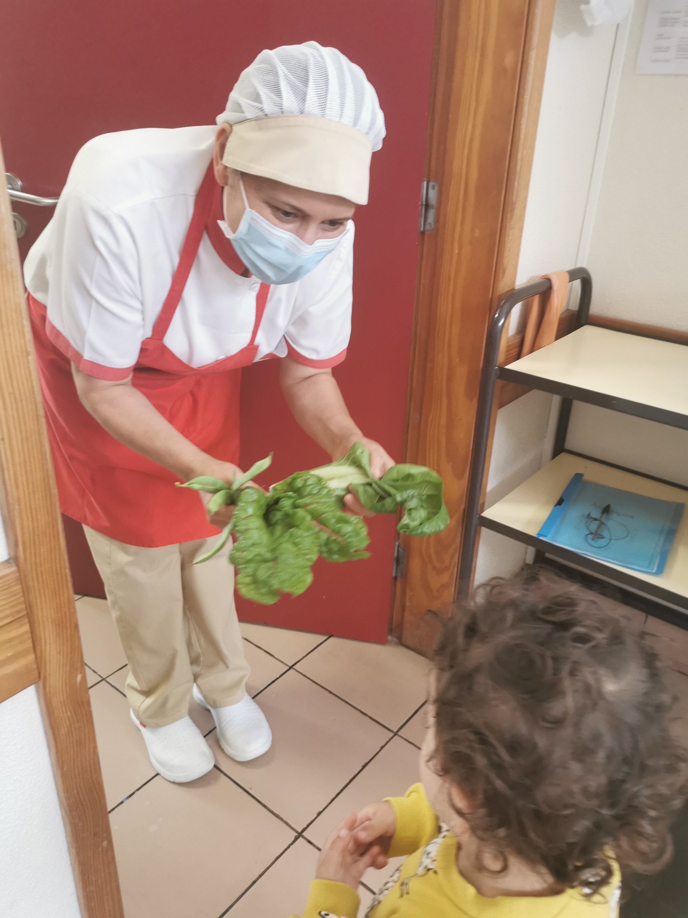 Entrega à cozinheira, de acelgas colhidas da horta, para confecção da sopa.