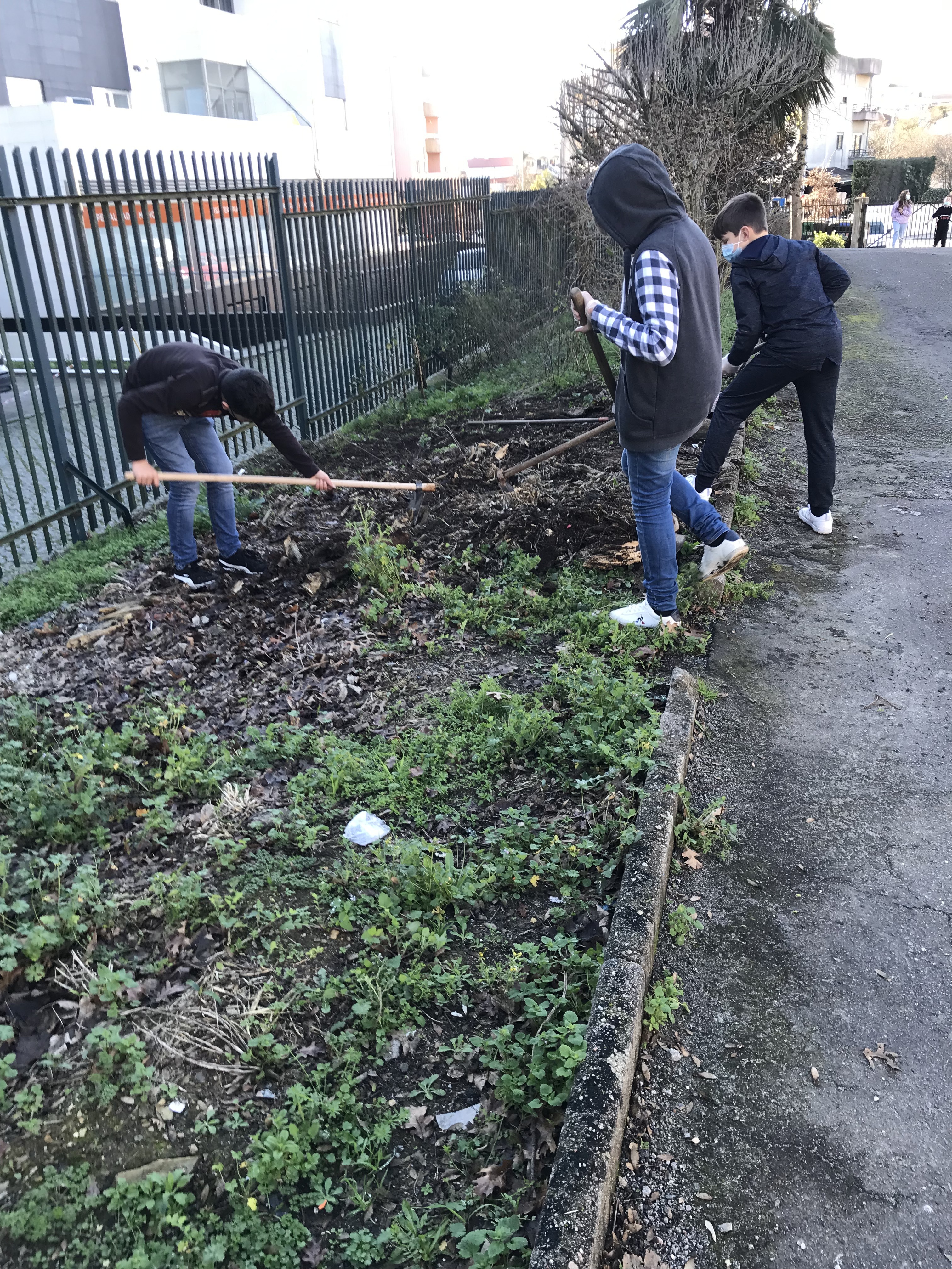 Horta biológica-Início dos trabalhos de limpeza do terreno.