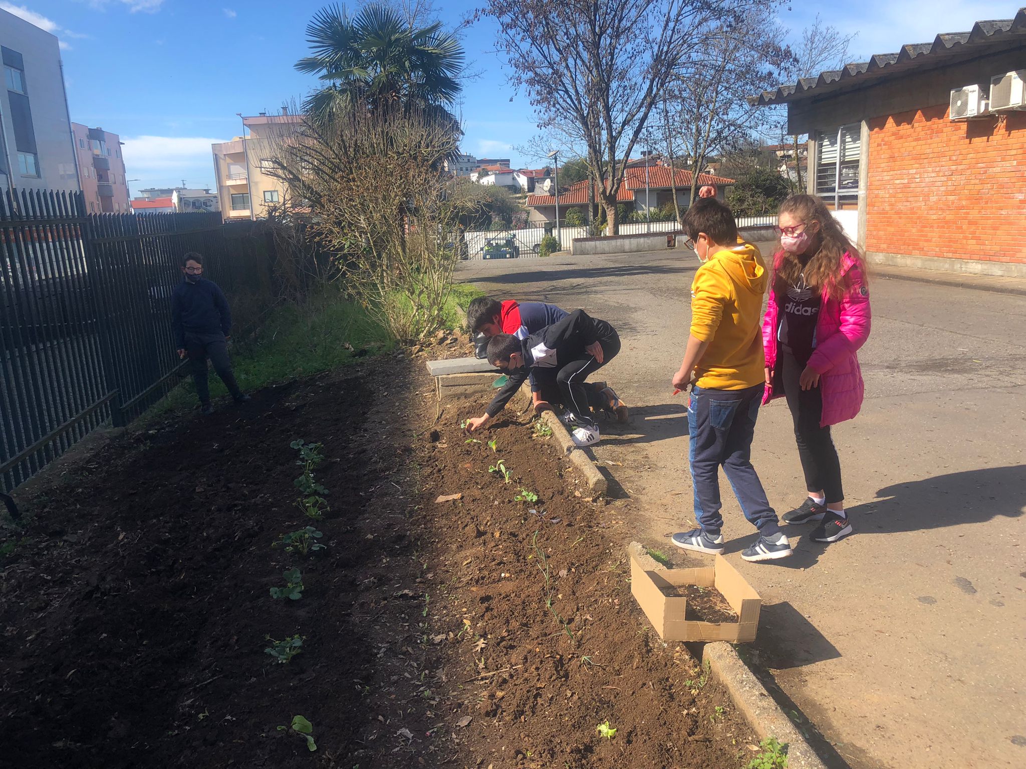 Horta biológica- Plantação da horta com alguns legumes e frutos fornecidos pela Câmara Municipal.