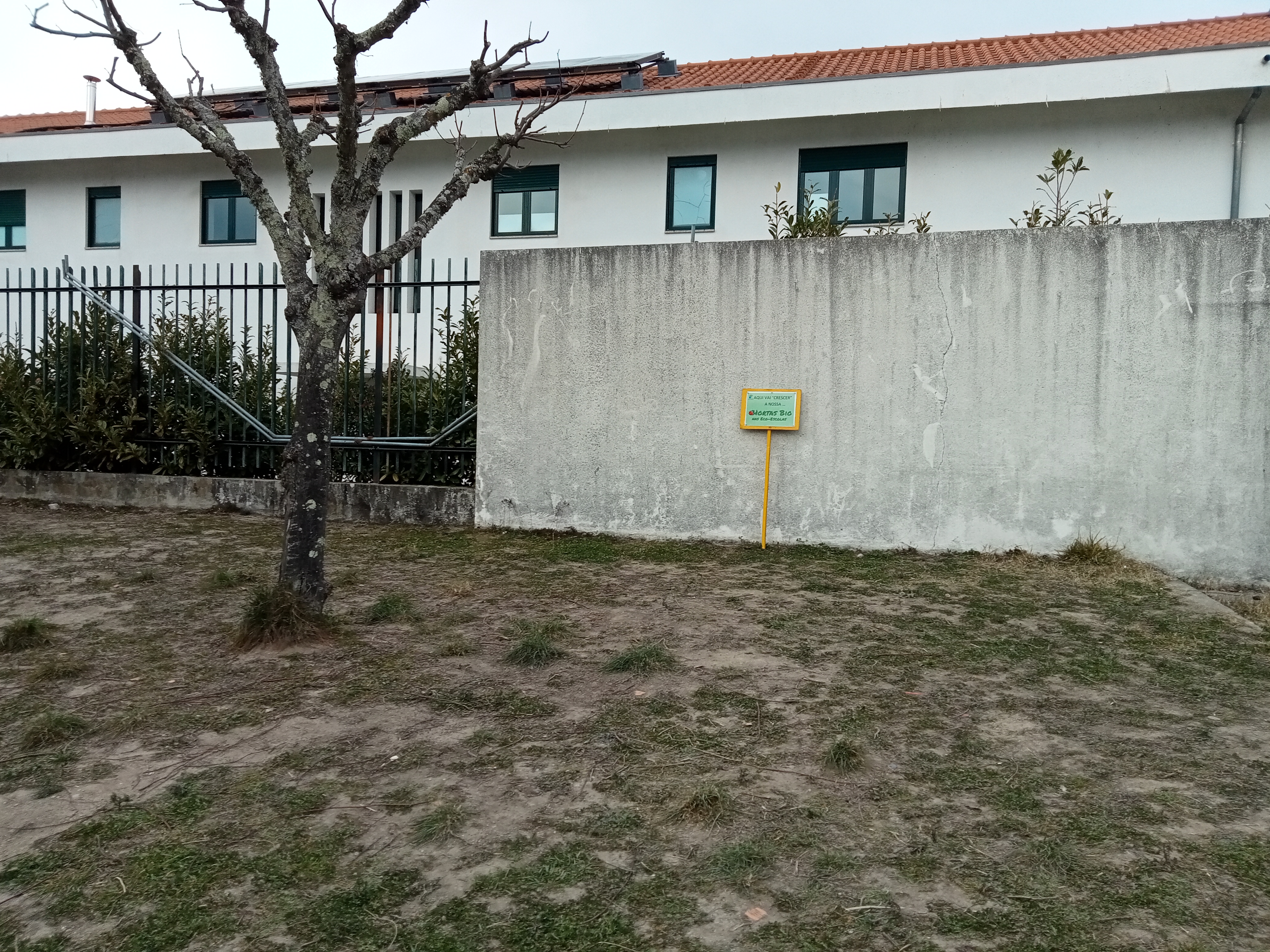 O espaço que vai ser destinado à Horta situa-se no lado Norte do espaço escolar, num local que necessita de ser preparado, com tabiques e mobilização de solo, junto a um dispensador de água e a um pequeno poço. O espaço tem uma ótima exposição solar.