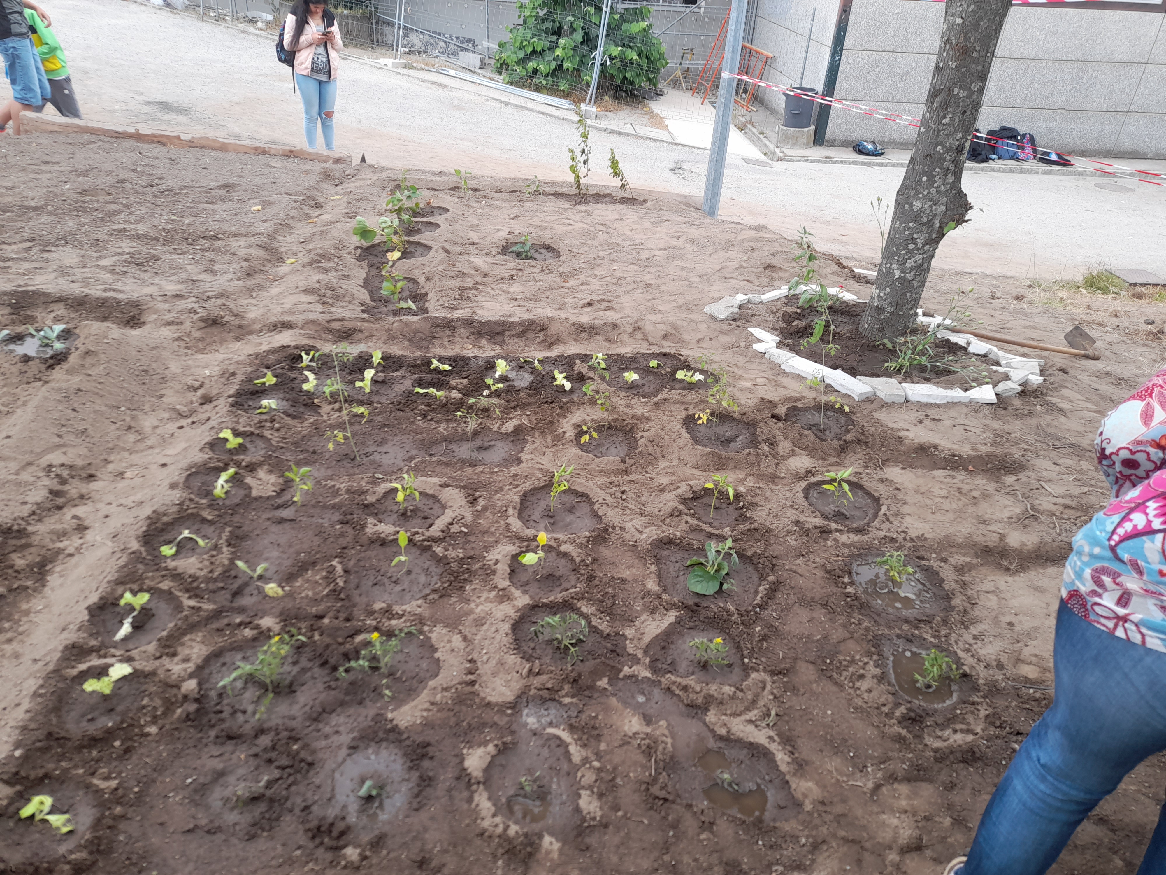 Foi com alguma emoção que procedemos à primeira rega das plantas colocadas com muito carinho na nossa horta.