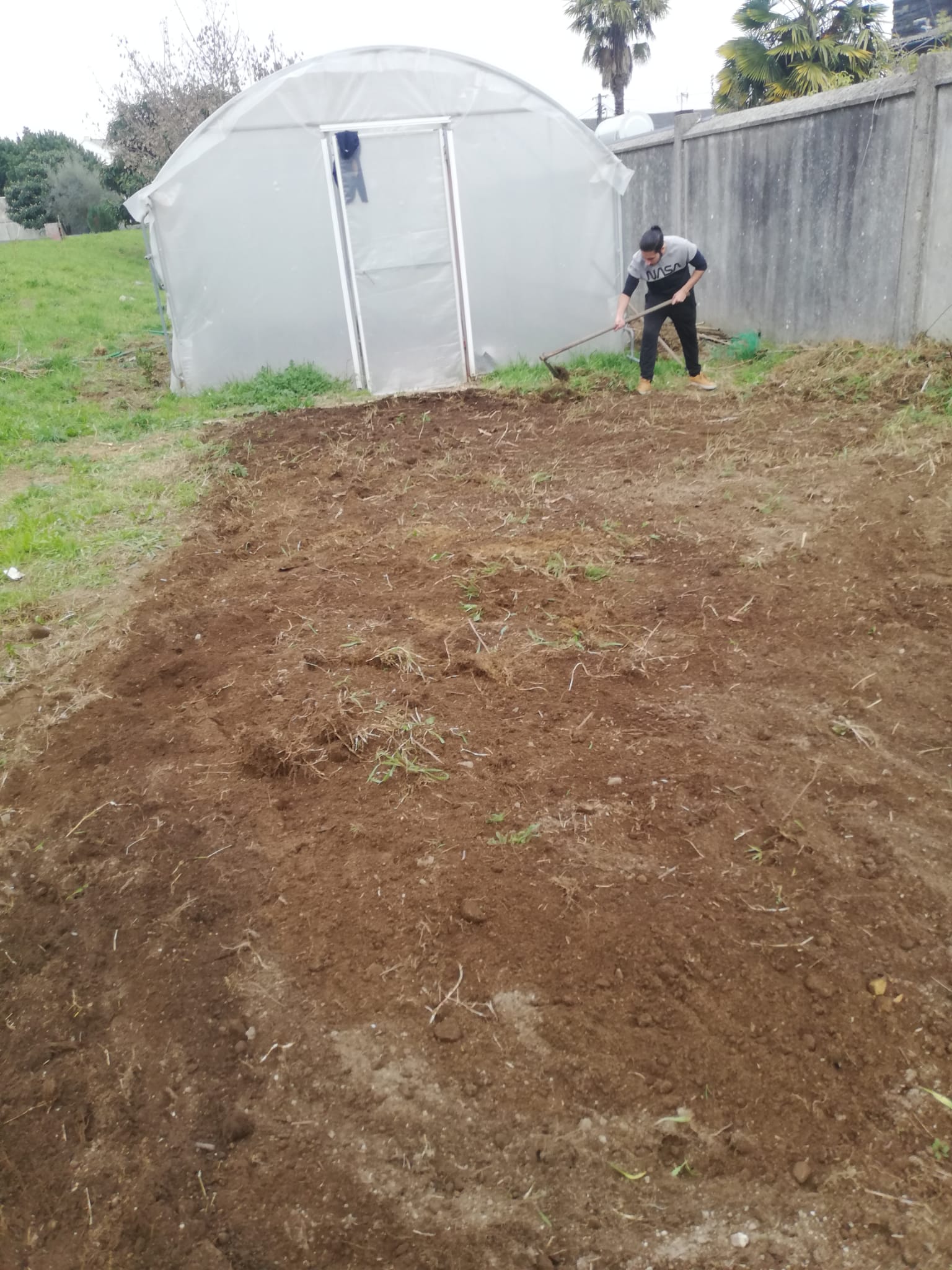 Preparação do terreno exterior à estufa em setembro/outubro de 2021
