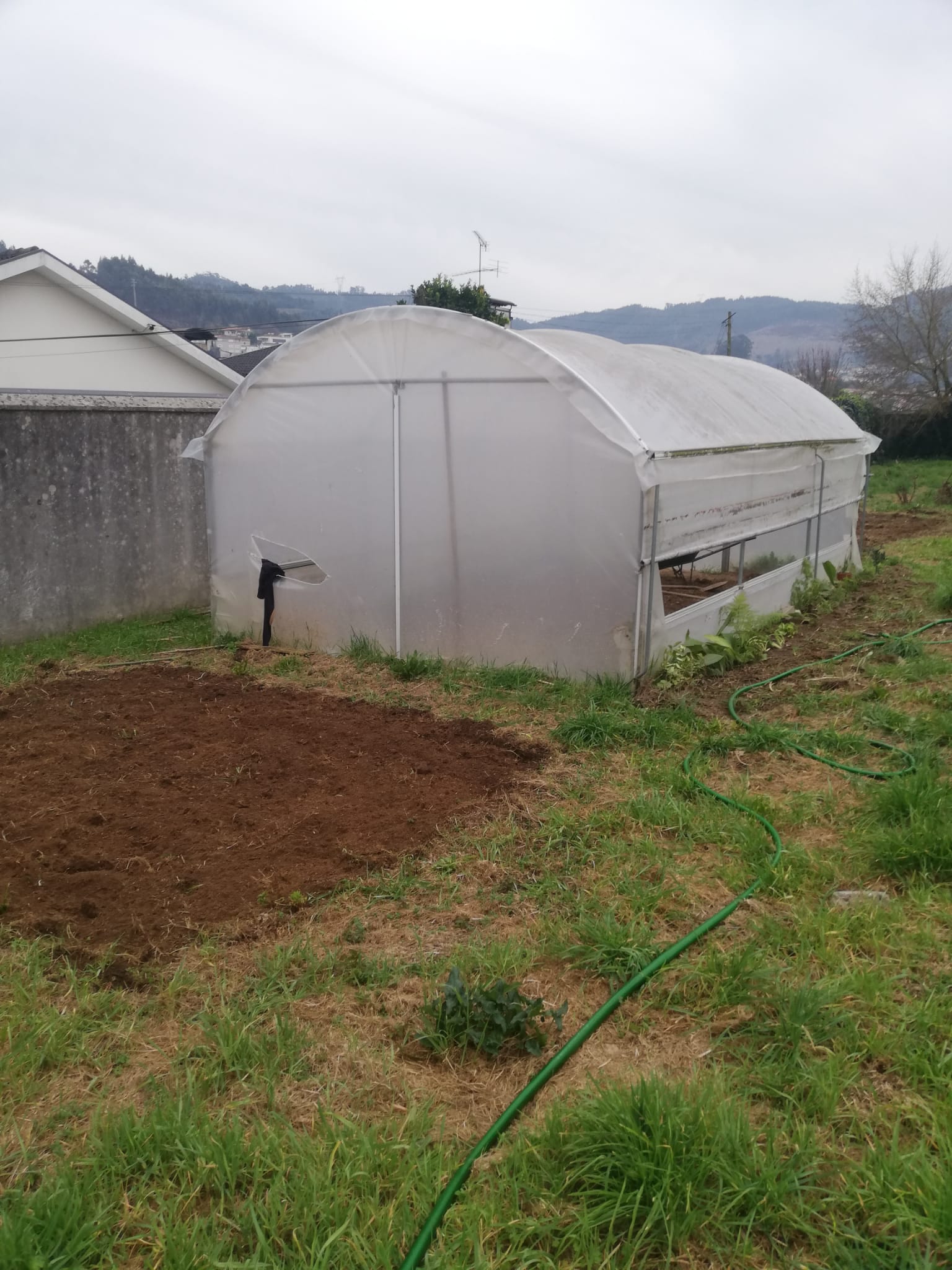Preparação do terreno exterior à estufa (setembro/outubro)