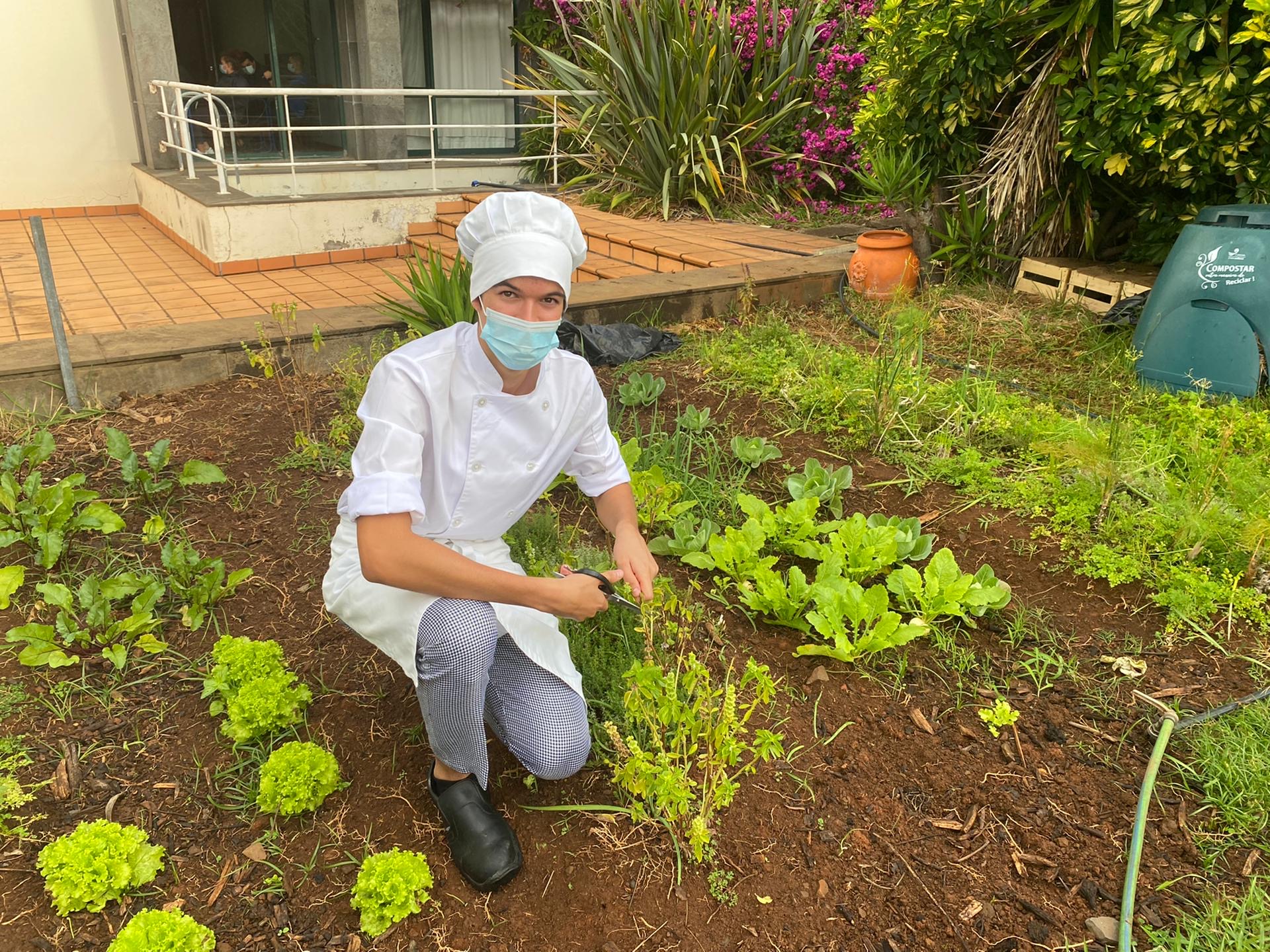 Colheita dos Produtos para uso na Cozinha do Hotel de Aplicação da Escola.