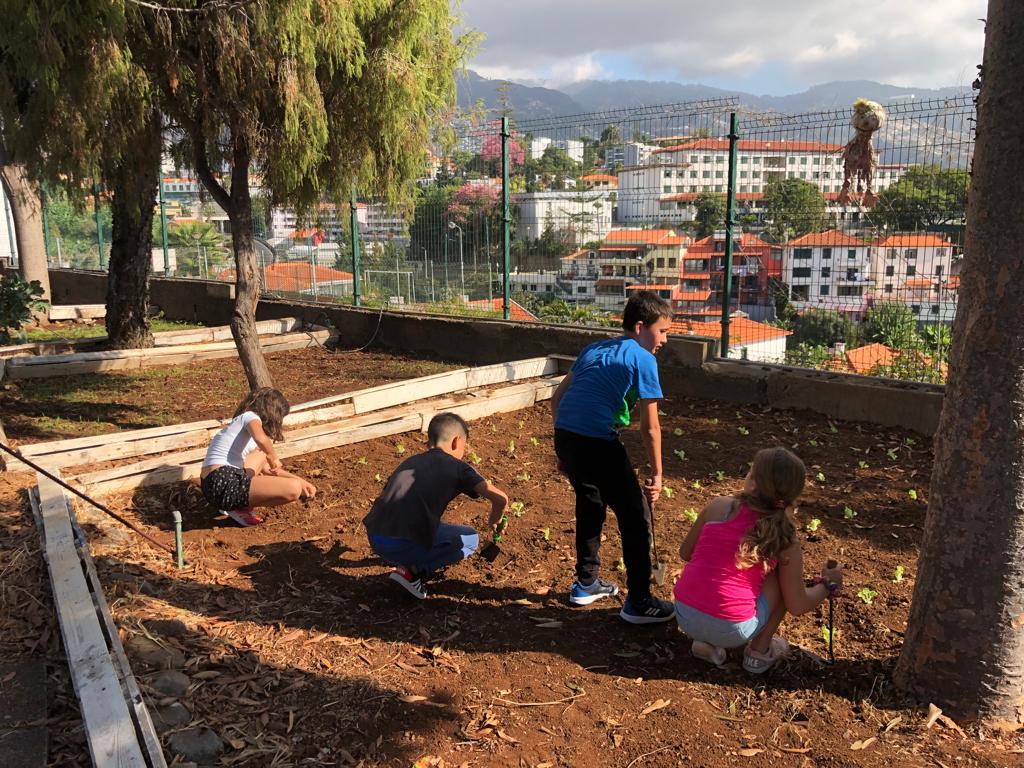 A plantação das culturas escolhidas pelos alunos de acordo com as preferências dos consumidores.
