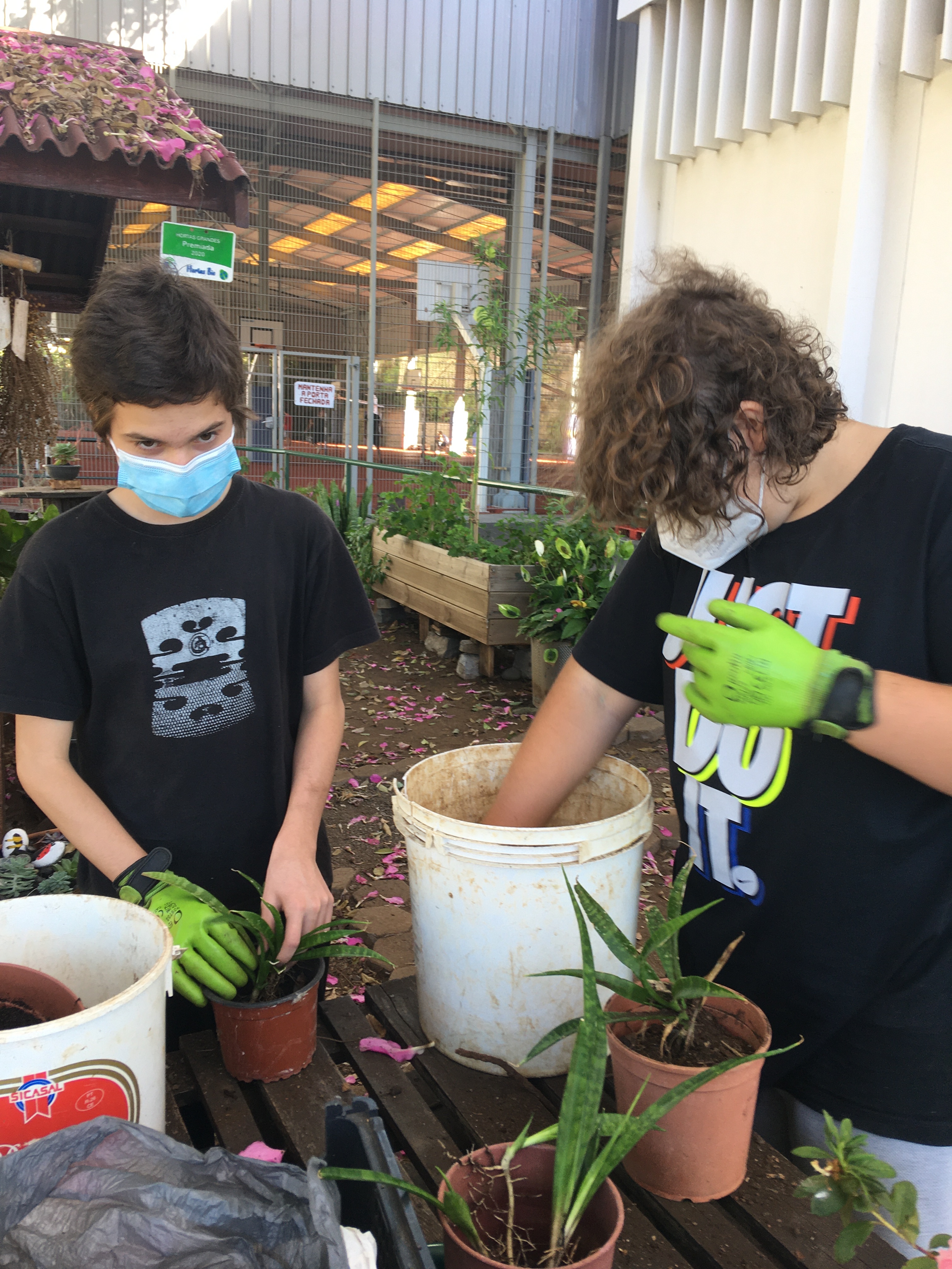 Os alunos ajudam na plantação dos vasos de suculentas.