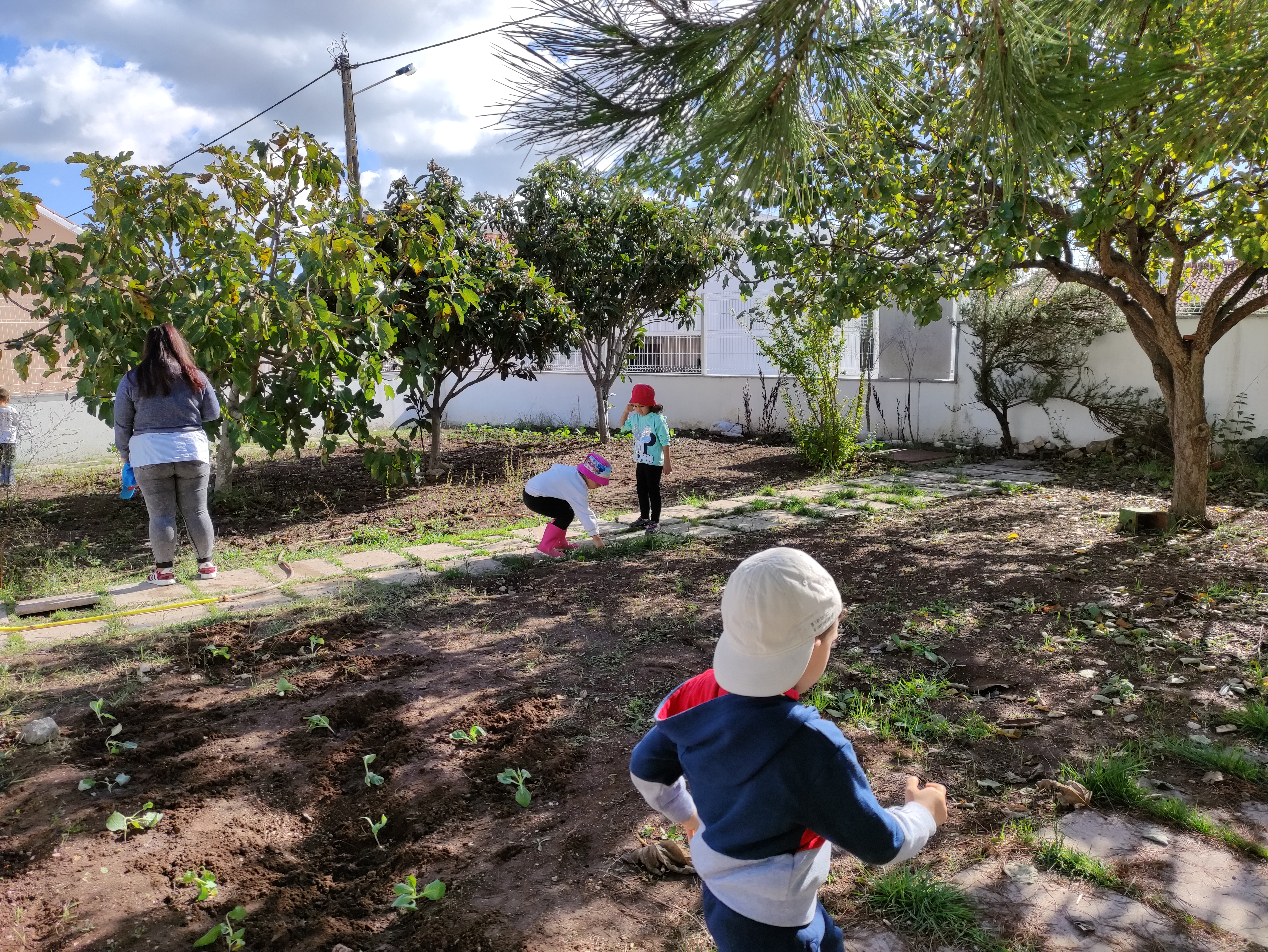 A nossa horta já está tratada e plantada. Que bonita está.