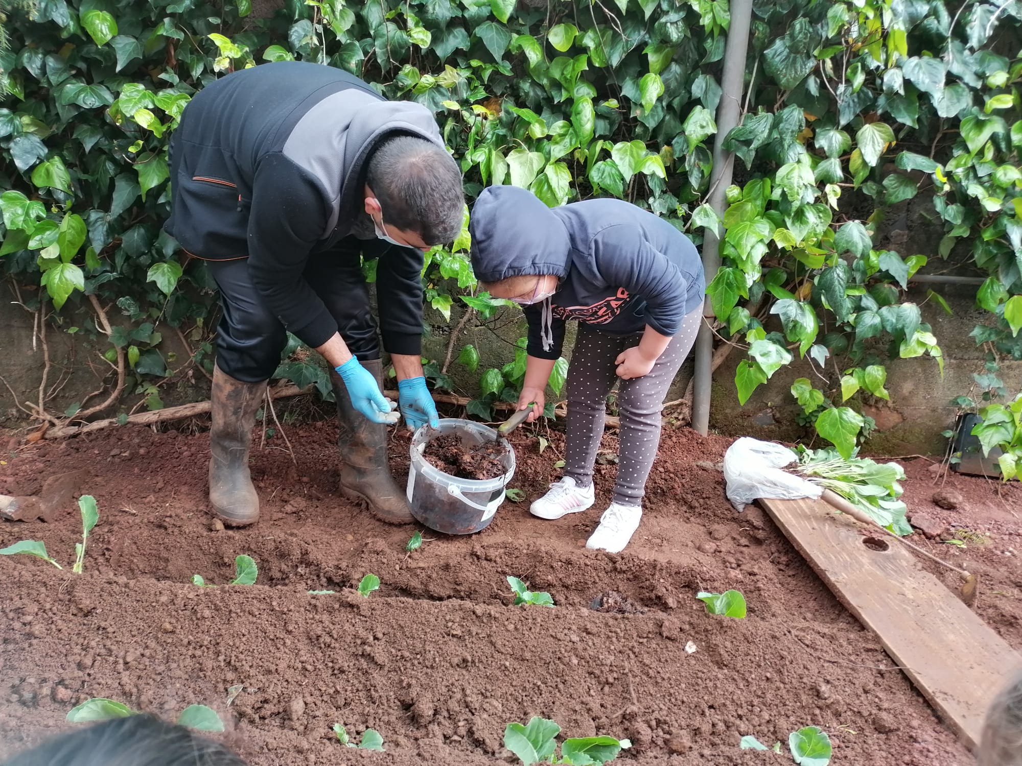 utilização do composto 

foi utilizado o composto produzido com os restos da nossa cantina como adubo.