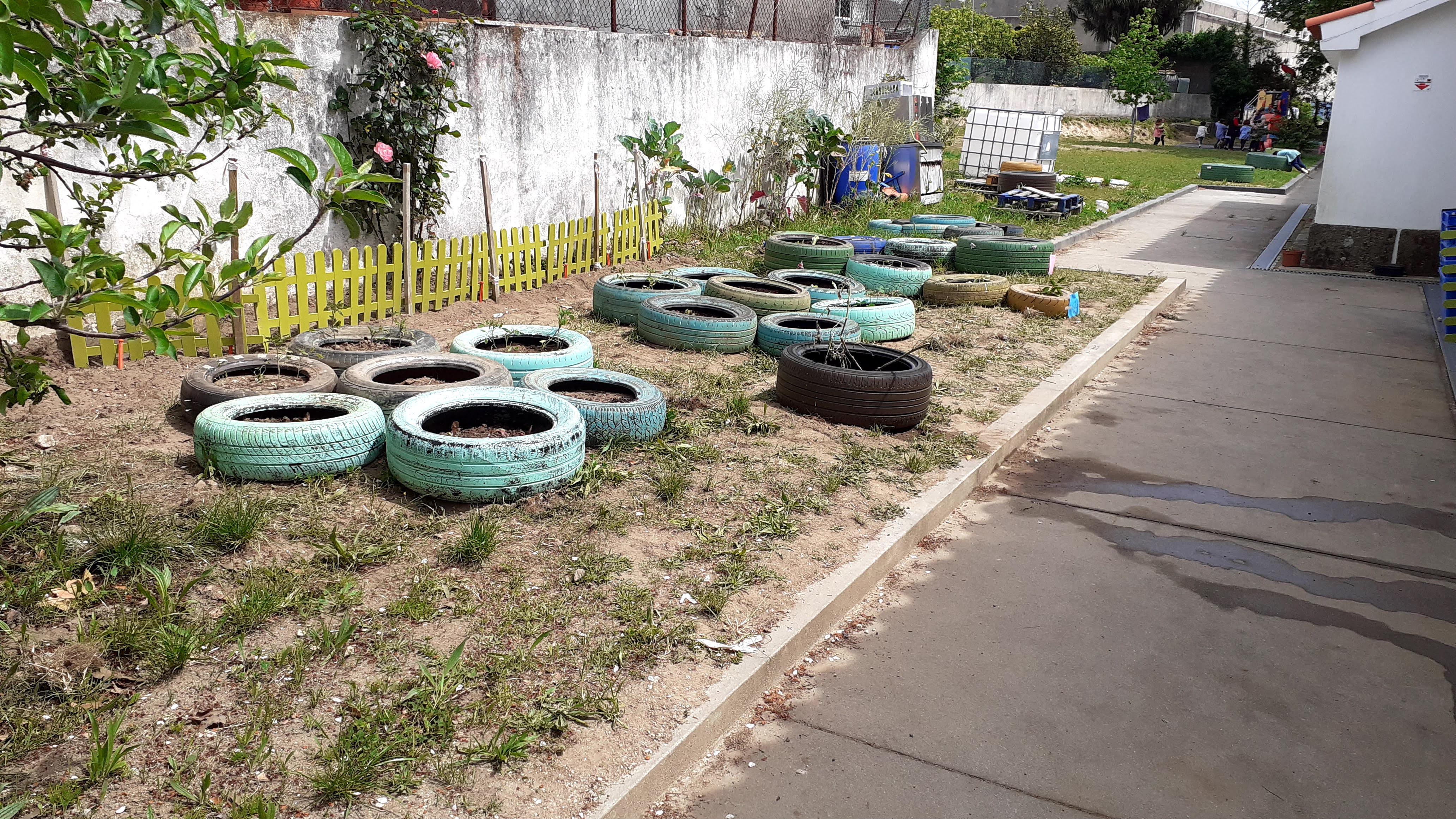 Todos os canteiros que formam a horta foram limpos e feitas plantações ou sementeiras. Agora é esperar que as nossas plantas crescam.