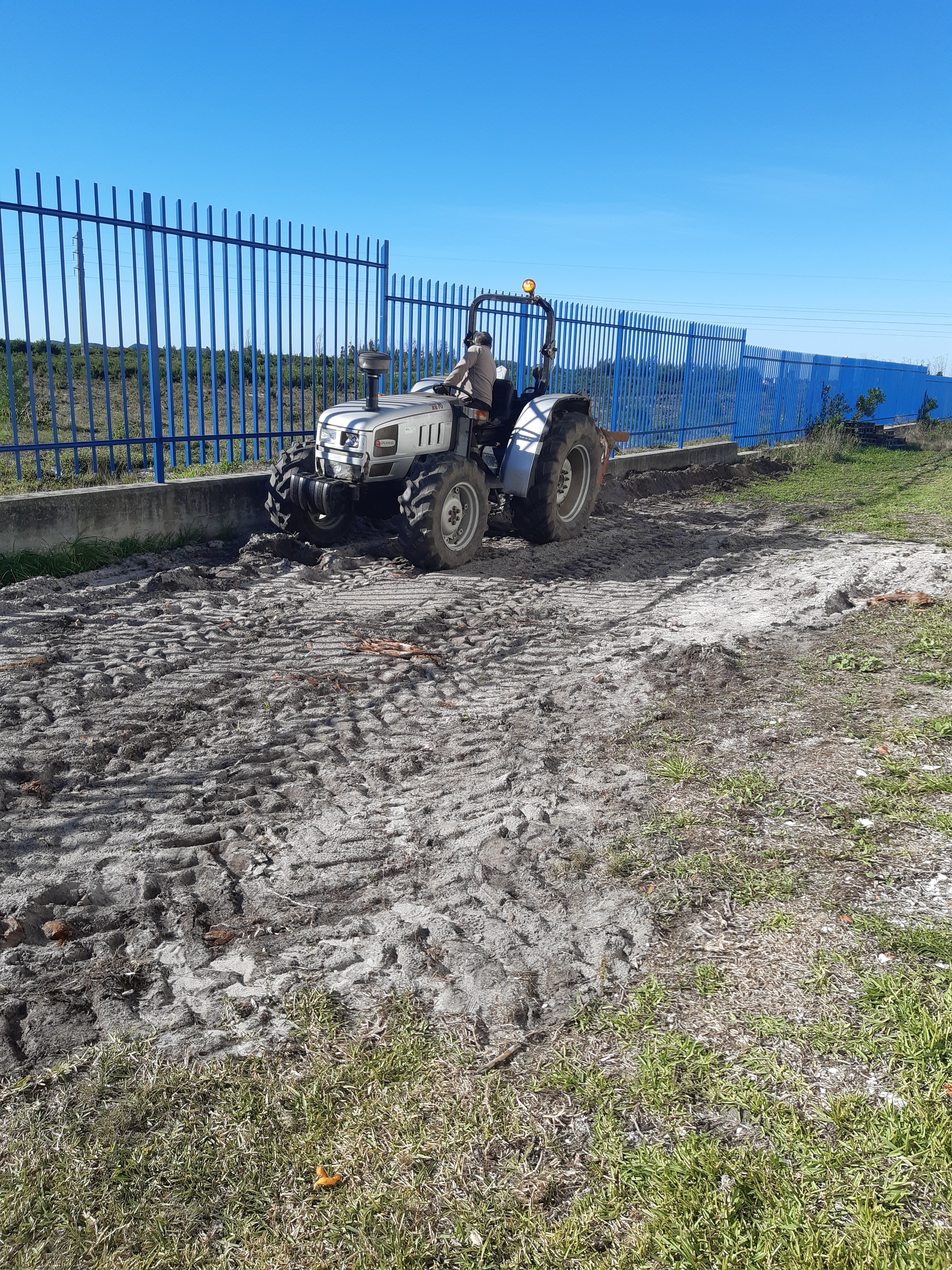 Preparação do terreno para a horta com auxílio de trator.
Apoio de enc. Educação para tratar do terreno.