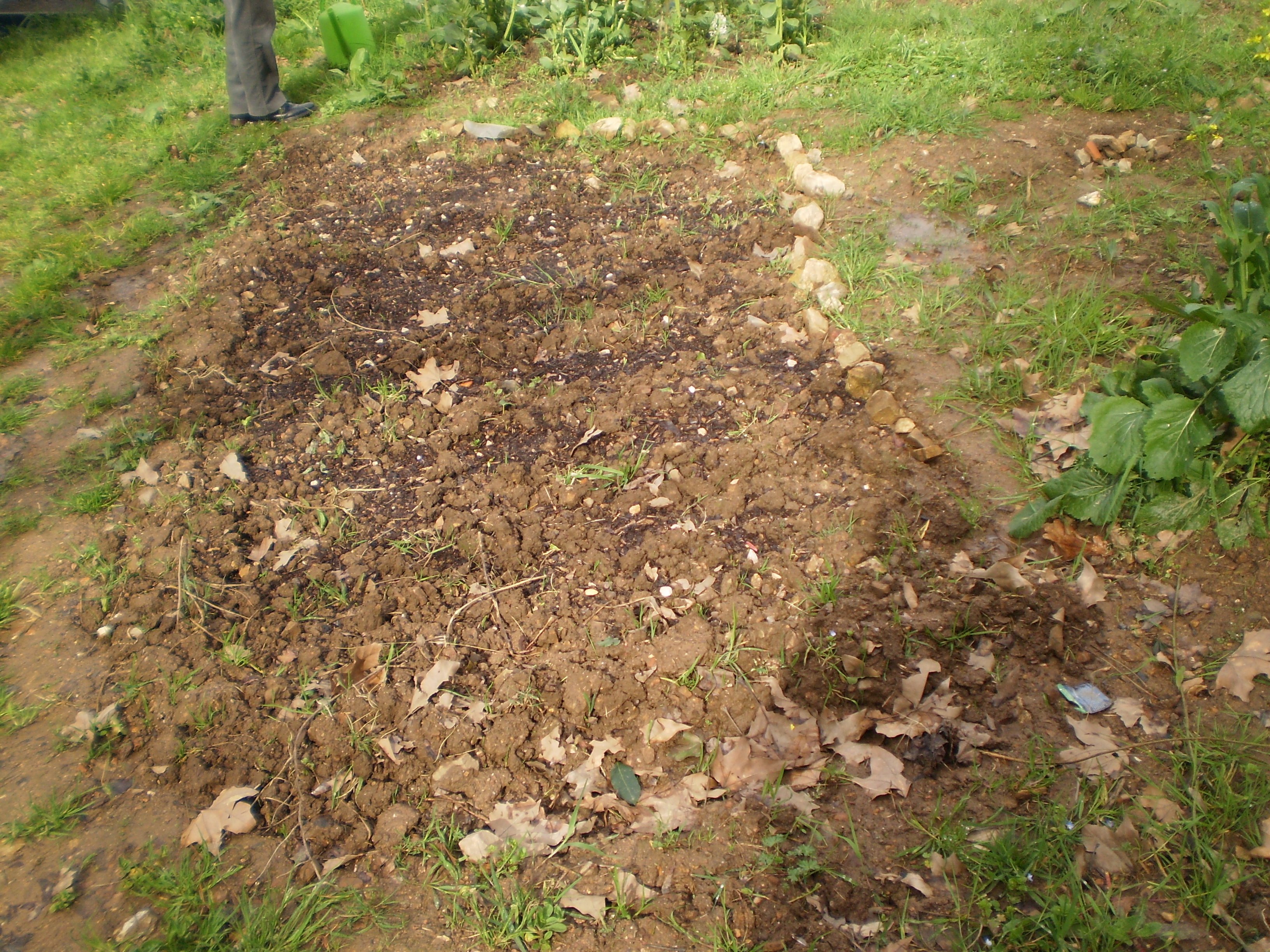horta cavada