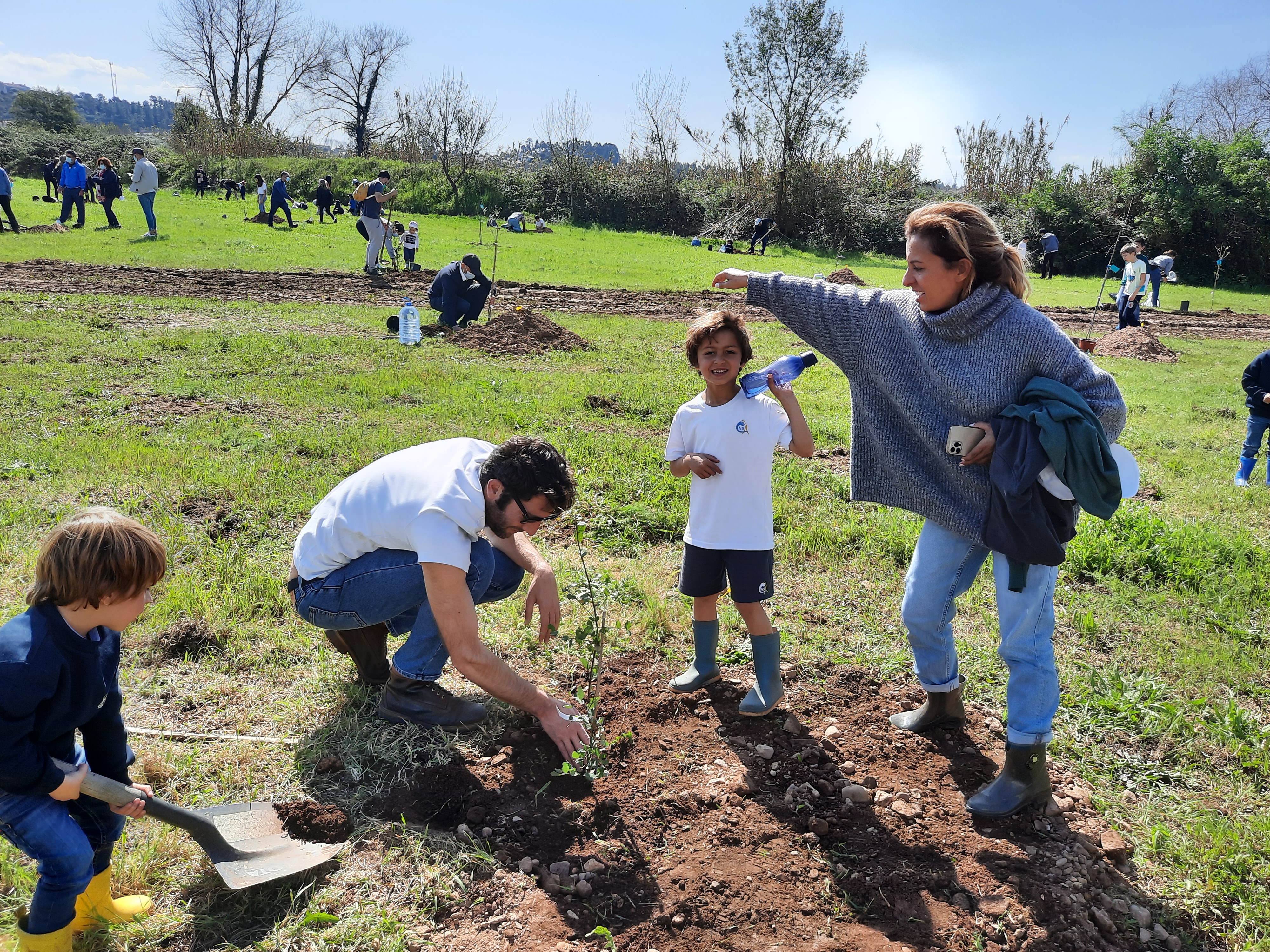 Plantação de 100 árvores