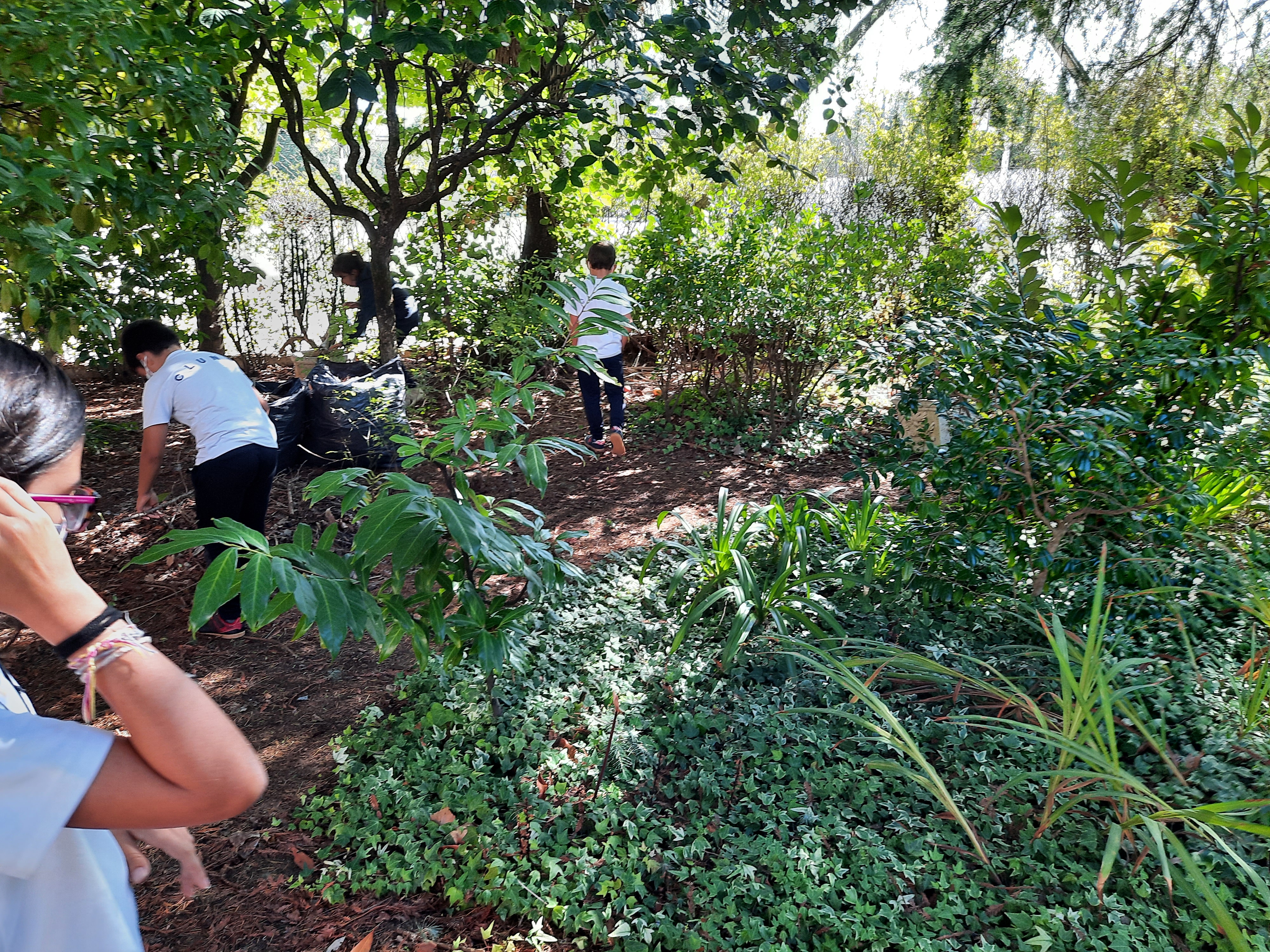 Limpeza e manutenção de um espaço florestal