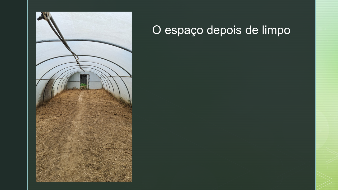 Aspeto do espaço depois de limpo e preparado pelos alunos.