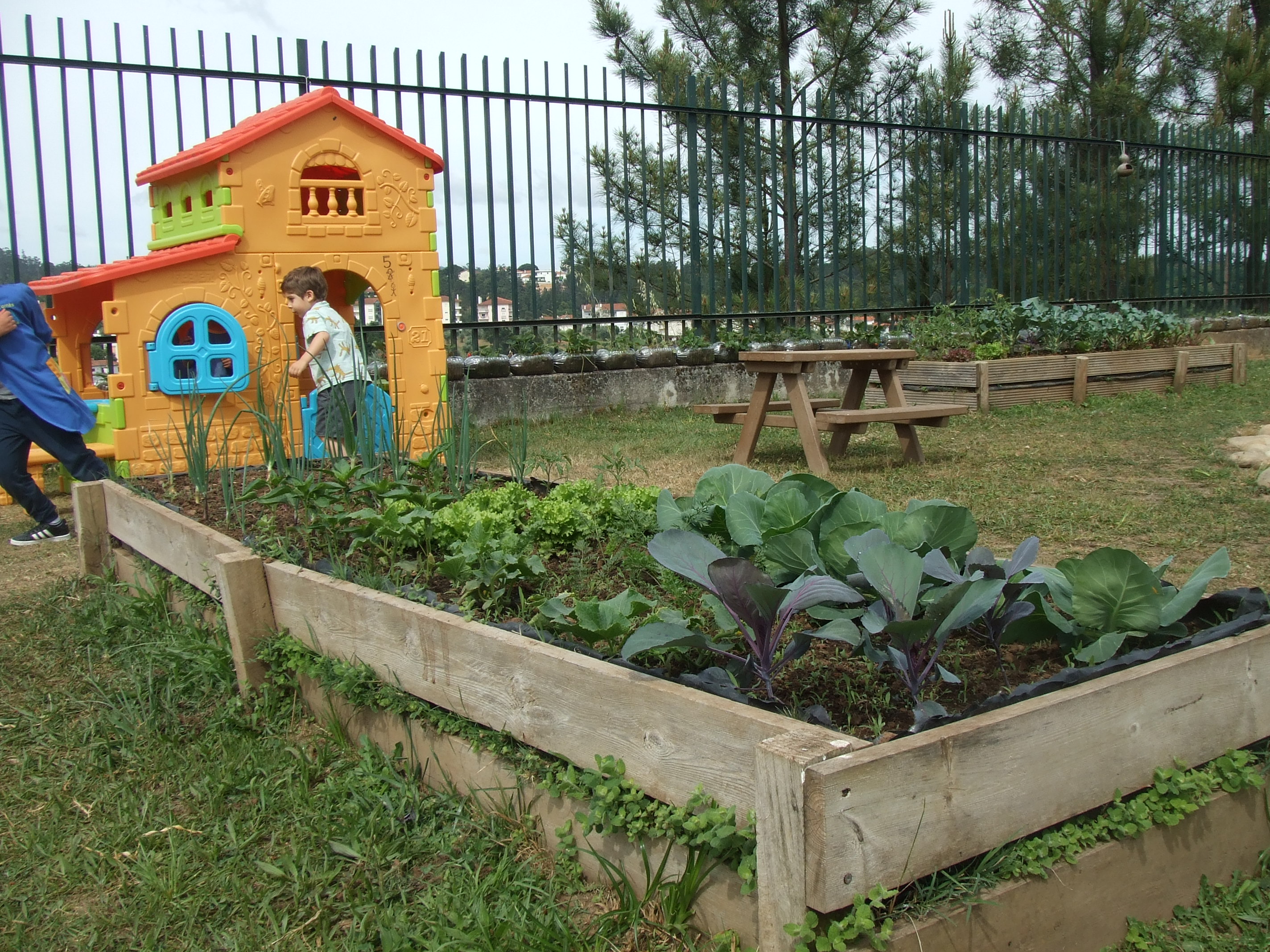 Os produtos hortícolas em crescimento, variando na folhagem, na flor ou no fruto.