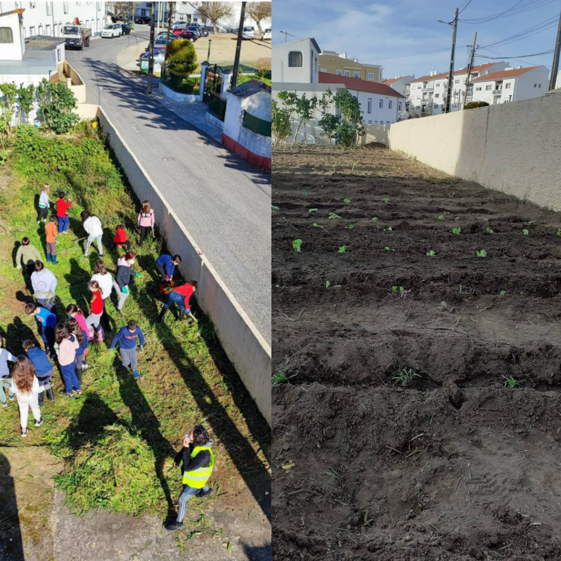 Limpeza e preparação do terreno