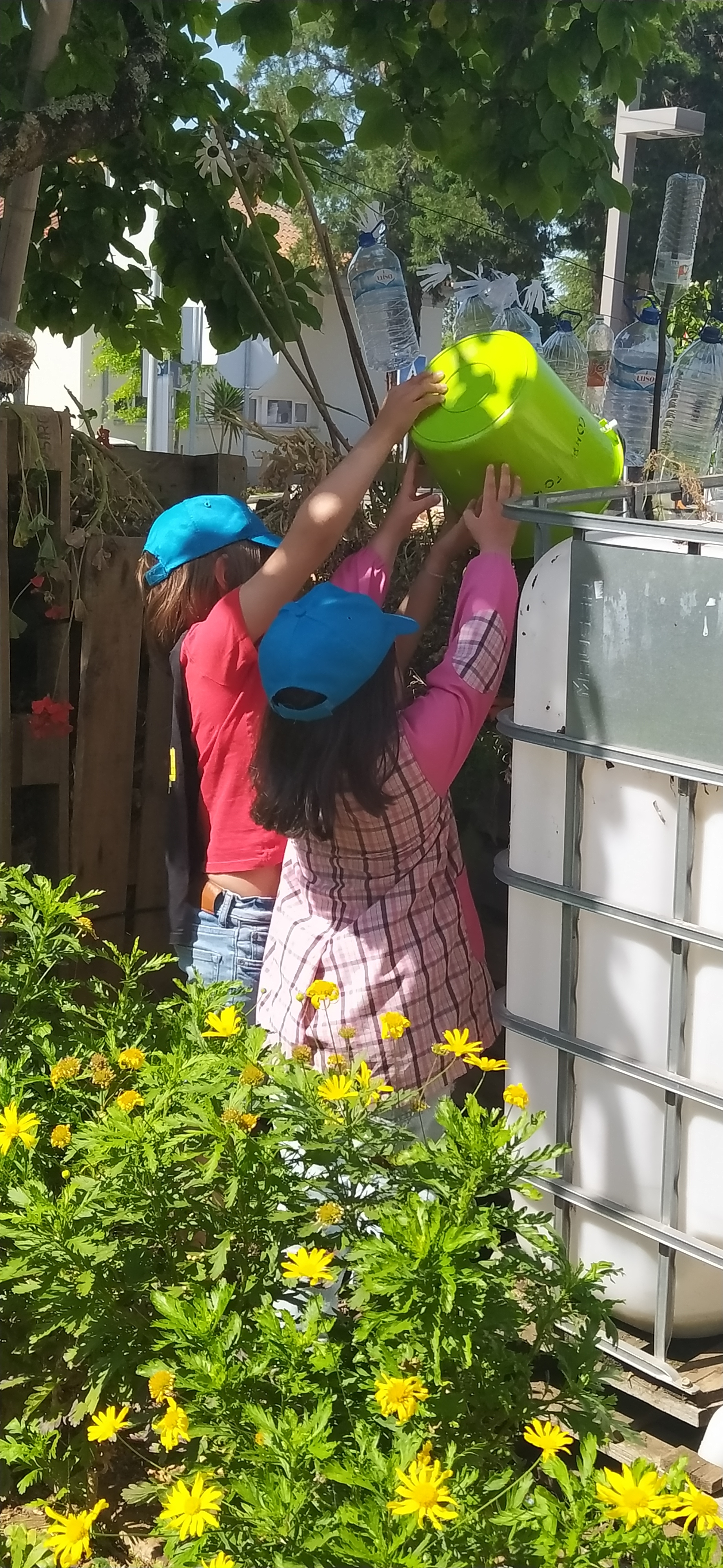 As crianças continuam a regularmente colocar os resíduos da fruta , cascas de ovos e borras de café no compostor, juntam erva seca, rega-se quando necessário. Para as plantações e experiencias realizadas nas salas é lá que vão buscar o composto.