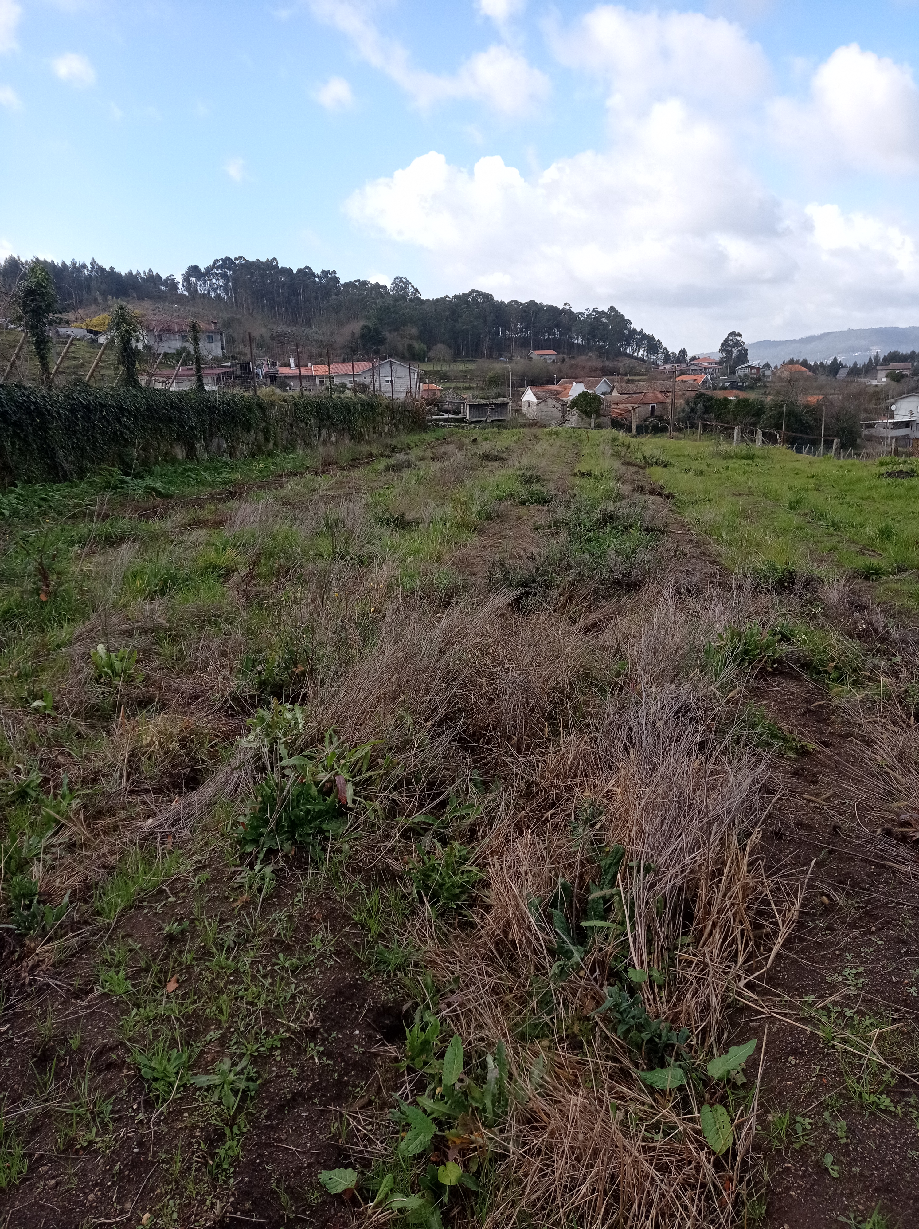 Área do terreno1