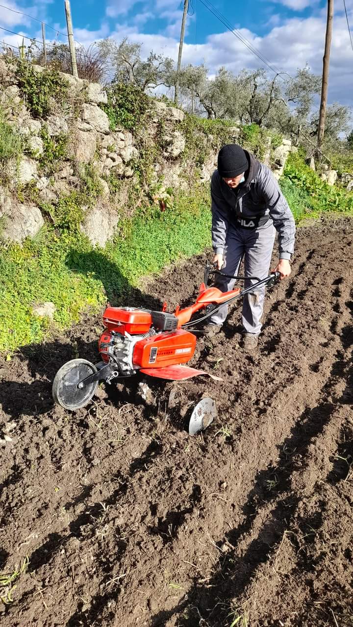 Inicio da nossa horta