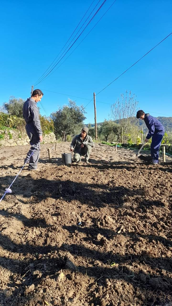 Inicio da nossa horta