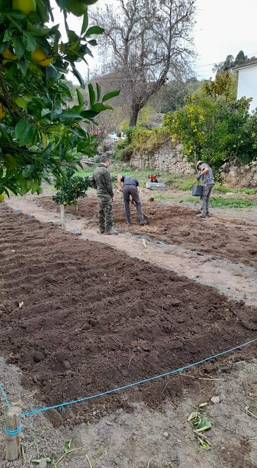 Inicio da nossa horta