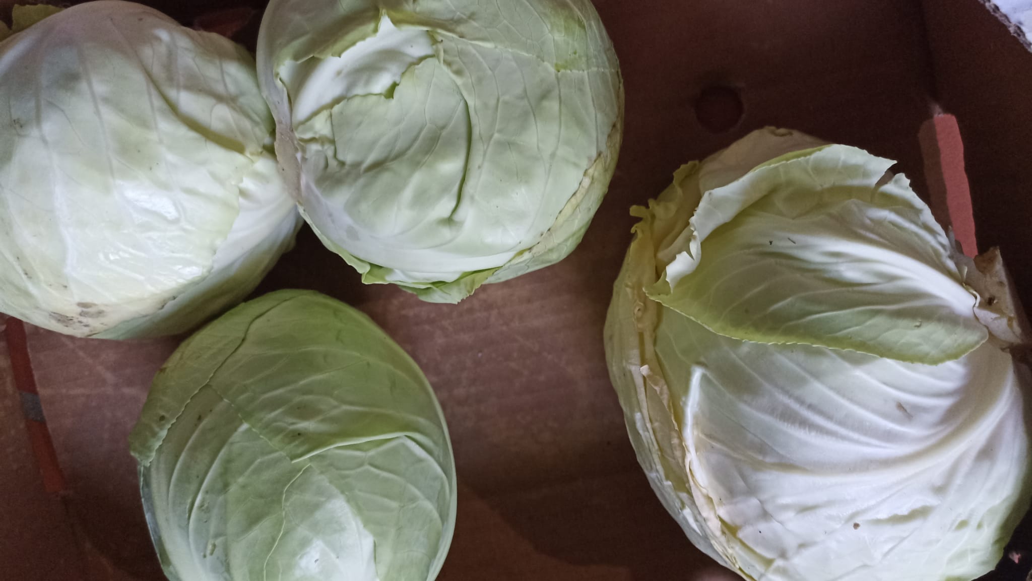 Também obtidas da nossa horta.