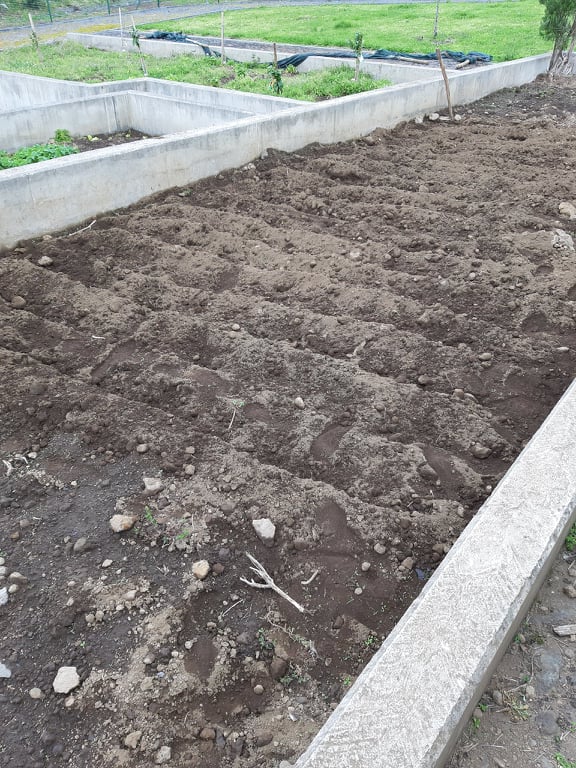 Valas para plantação de batatas