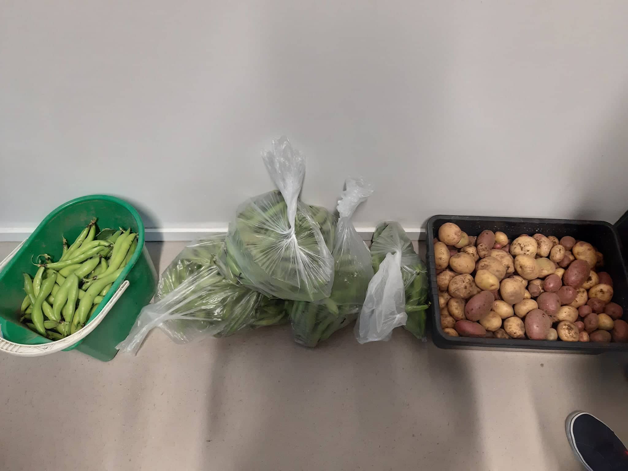 Favas e batatas