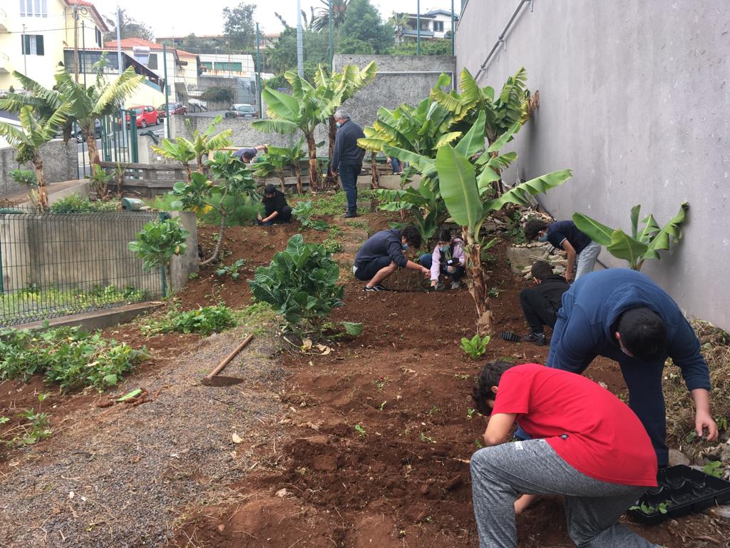 Fase inicial - alunos participam, ativamente, na monda da horta biológica. Uns optam por usar luvas contudo, outros, não usam pois gostam do contacto direto das mãos com a terrra.