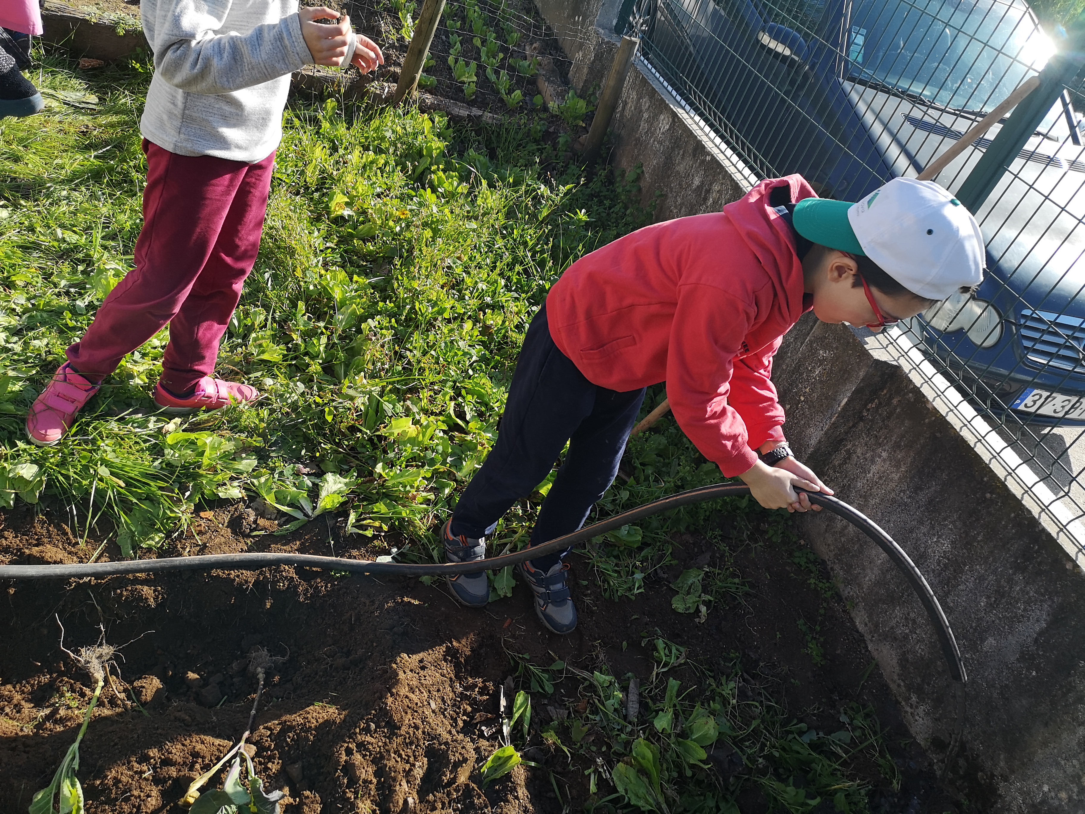 Participação dos alunos na rega da horta (abicar).