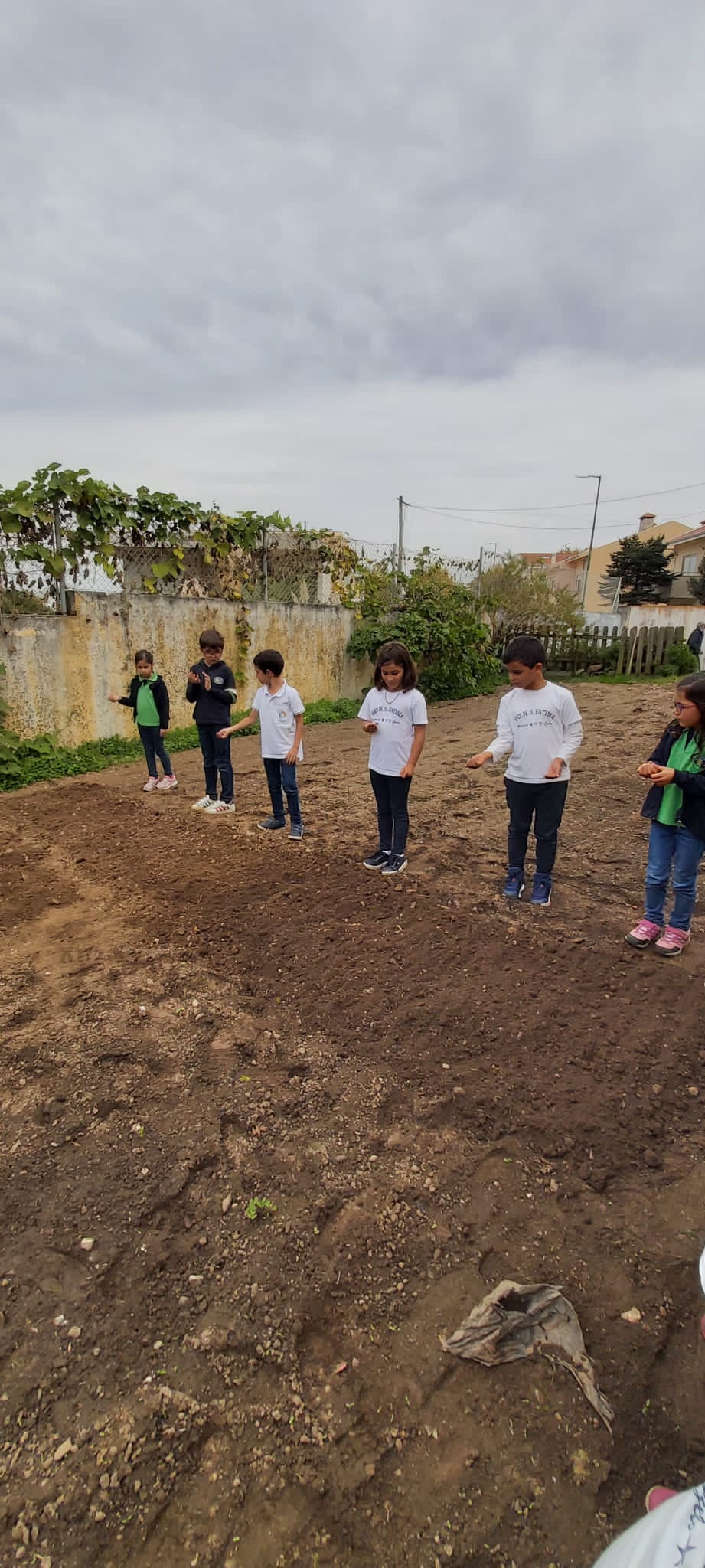 Os alunos do 2.º ano a semearem nabiças e alfaces