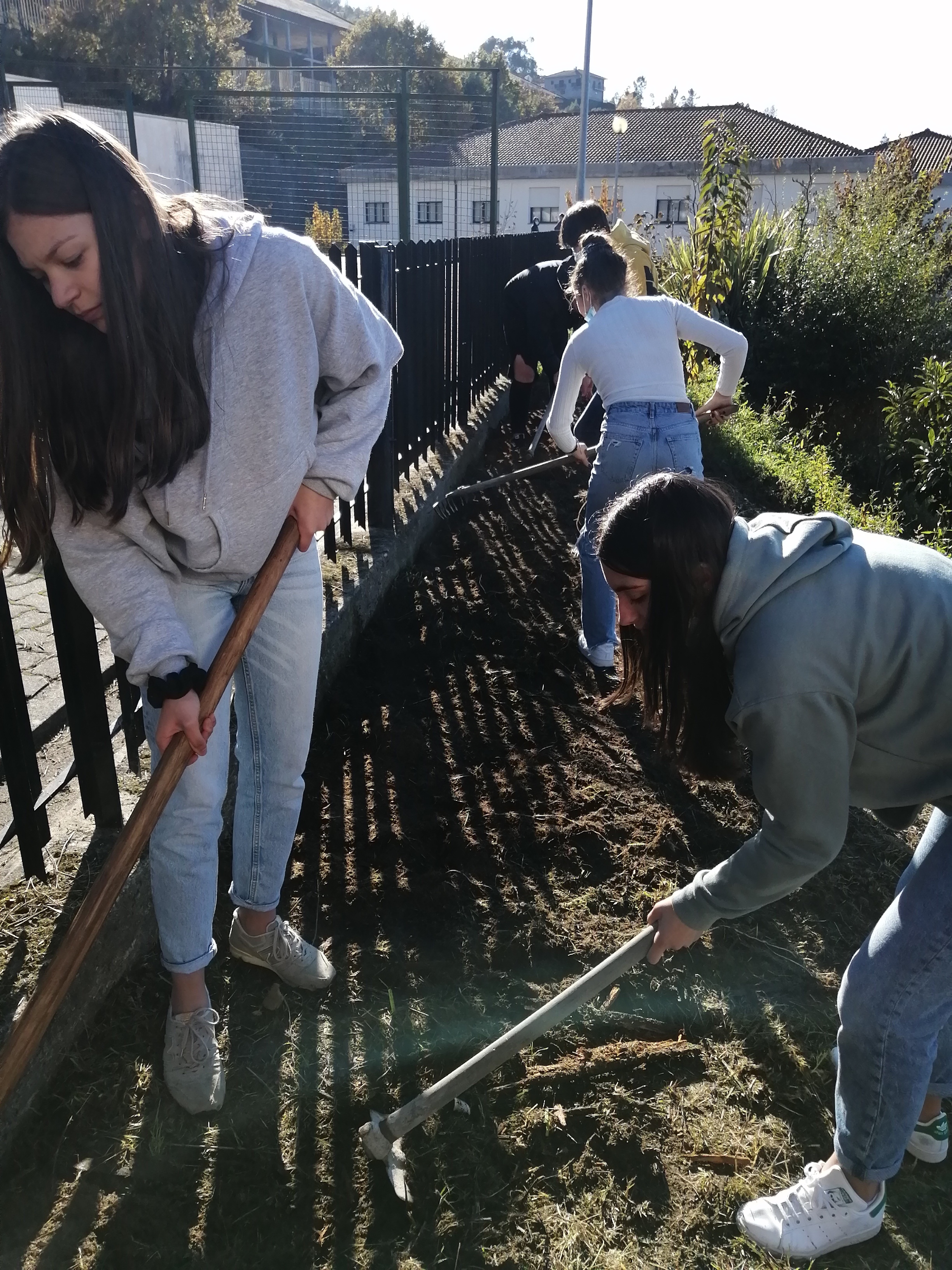 Terreno exterior: No exterior da estufa estão a ser realizados trabalhos de reabilitação e estabilização da vertente para criação de socalcos para receção das leguminosas e hortícolas da estufa. Junto à estufa existe um compostor em funcionamento.