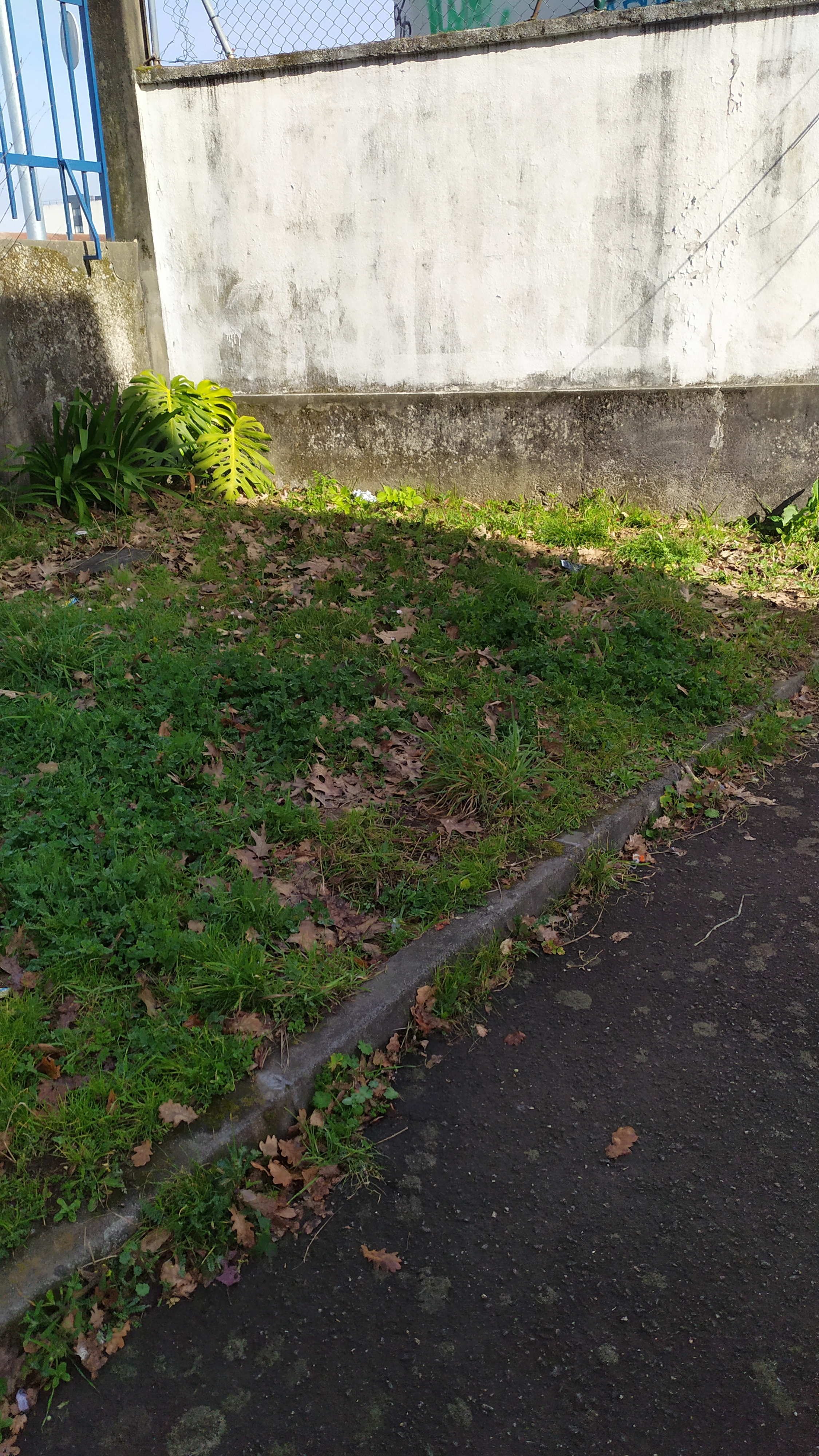 "Trepar...Rumo...Ao Topo" - Fotos do local escolhido para a a dinamização da atividade - Horta Vertical biológica.
A ideia é: criar uma horta vertical pela originalidade; embelezamento; criação de "Muros Com Vida" e superação de obstáculos.