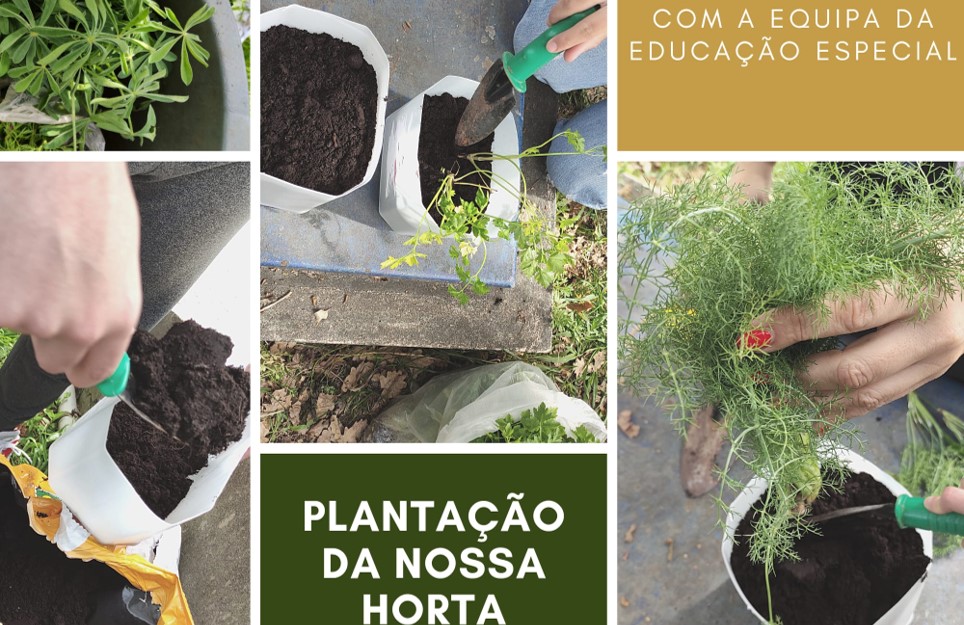 A nossa horta biológica - "Trepar...Rumo...ao Topo". Implicou trabalho, dedicação, estudo e muita alegria, com uma equipa entusiasmada e implicada.
