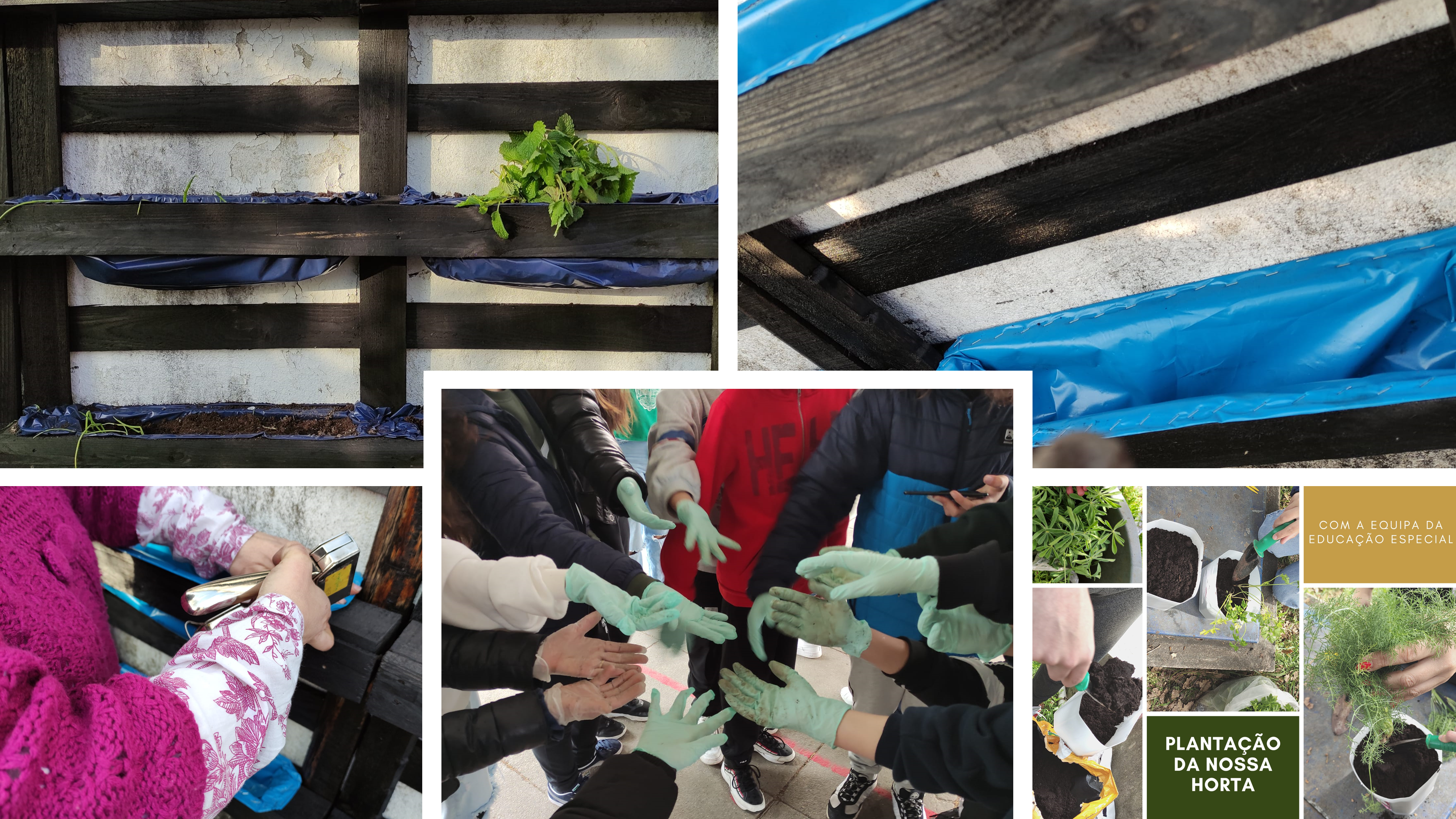 A construção do horto vertical, com a ajuda preciosa de auxiliares com ideias e trabalho. Usamos paletes oferecidas por uma encarregada de educação e uma professora da escola. As paletes foram pintadas por um auxiliar com óleo usado dos carros.
