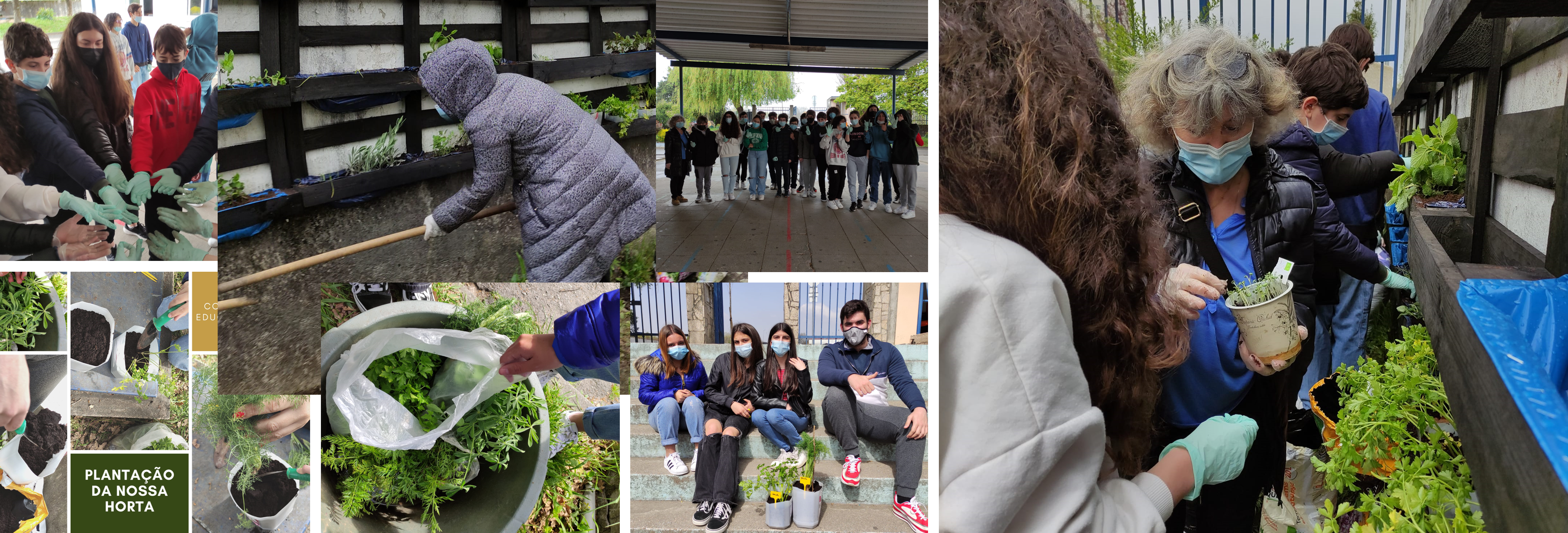 Professores, auxiliares, pais, avós, alunos destacando os alunos da educação especial, envolveram-se num esforço conjunto, dando vida a este projeto.