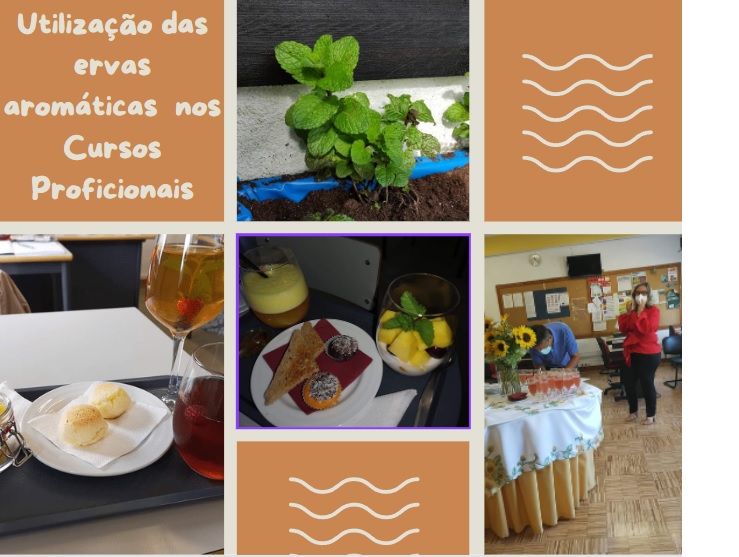 O contributo da das espécies cultivadas para as atividades desenvolvidas pelos cursos profissionais, especialmente dos cursos de Padaria e Pastelaria e Cozinha e Bar.