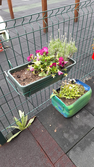Flores e ervas aromáticas