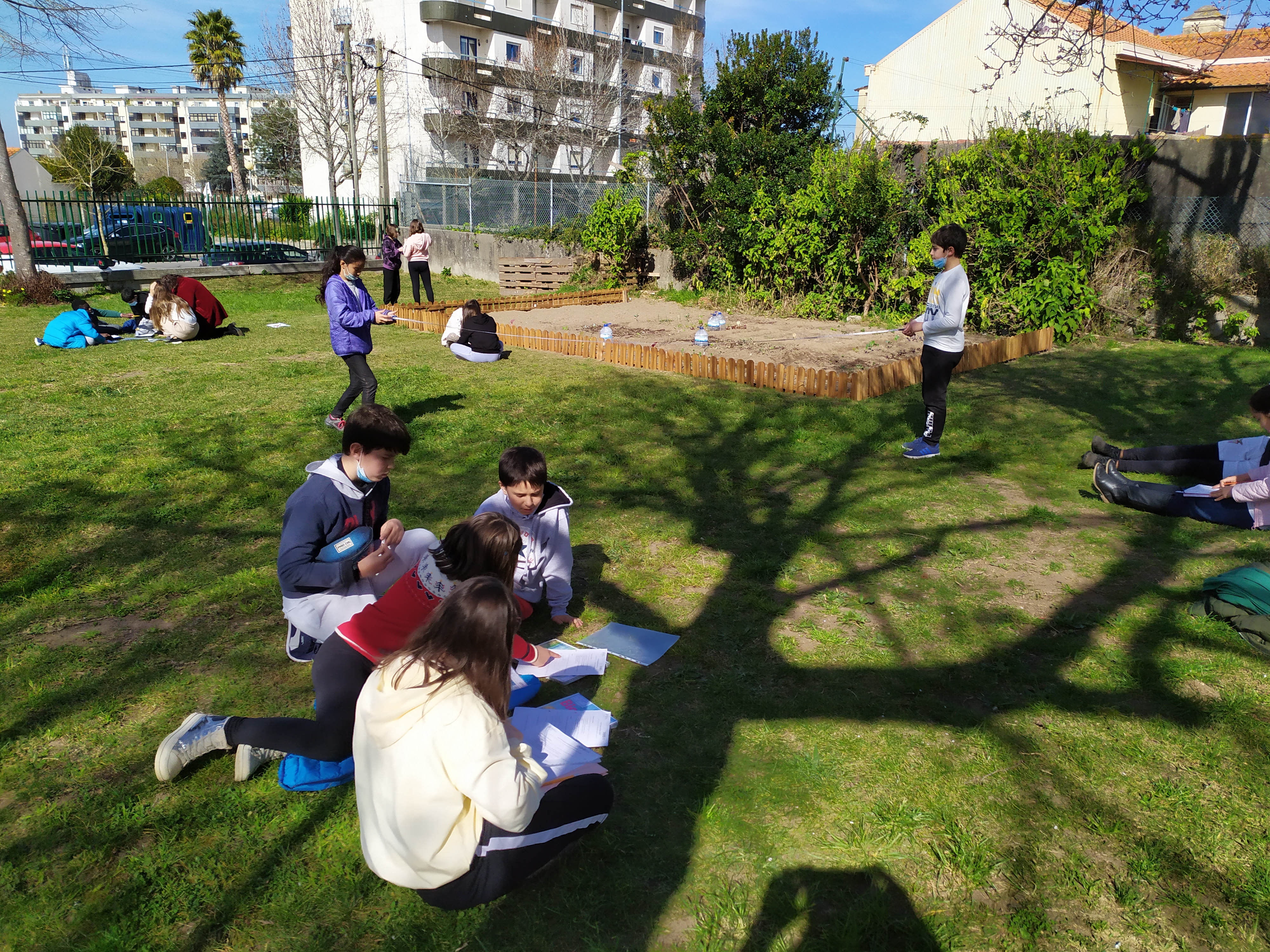 Participação da disciplina de Matemática  na Horta  Bio: utilização de fitas métricas para medição do comprimento dos lados da horta e  dos canteiros; cálculo dos respetivos perímetros e áreas.