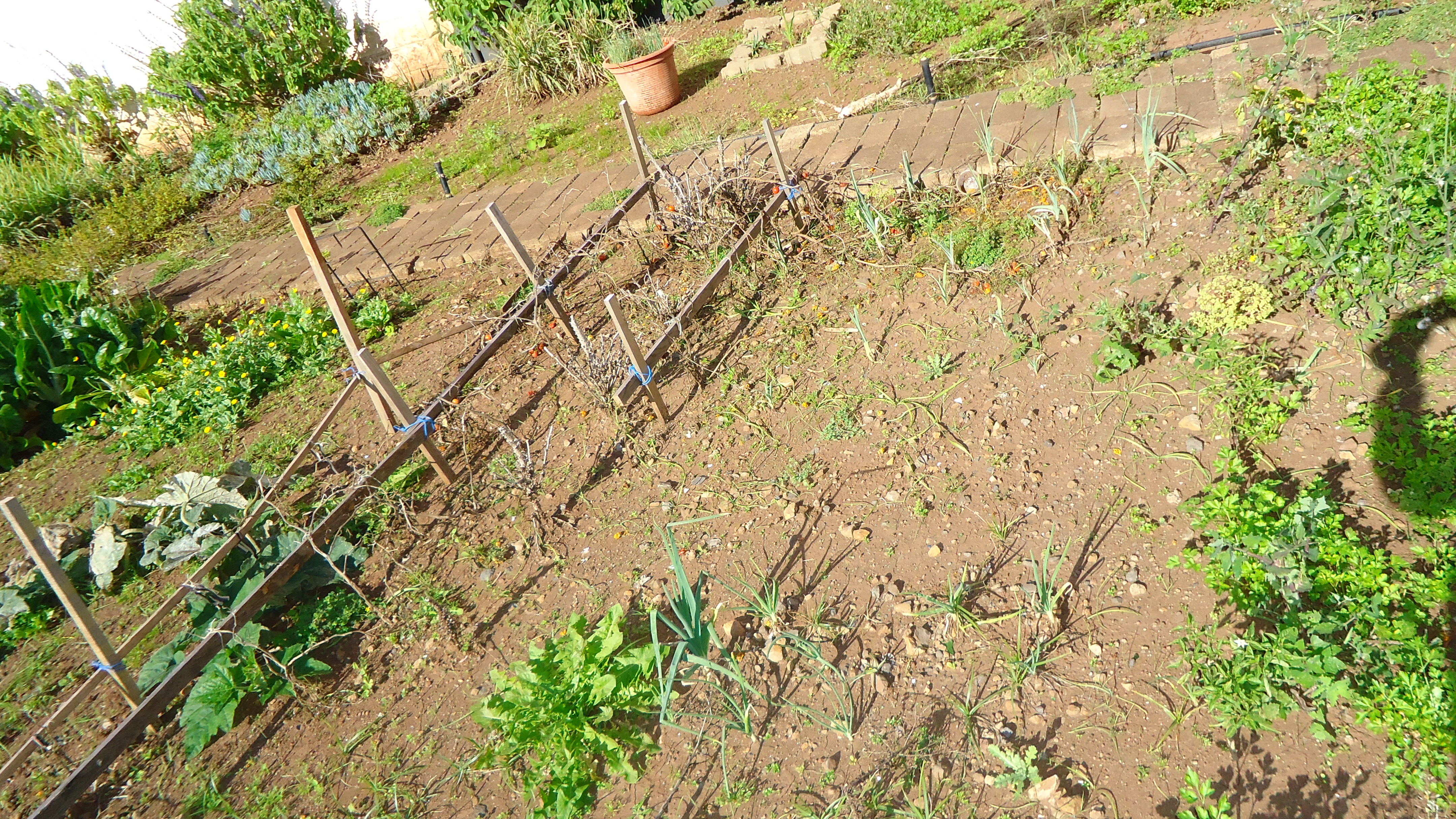 Zonas com pouca hidratação e fertilização da terra.