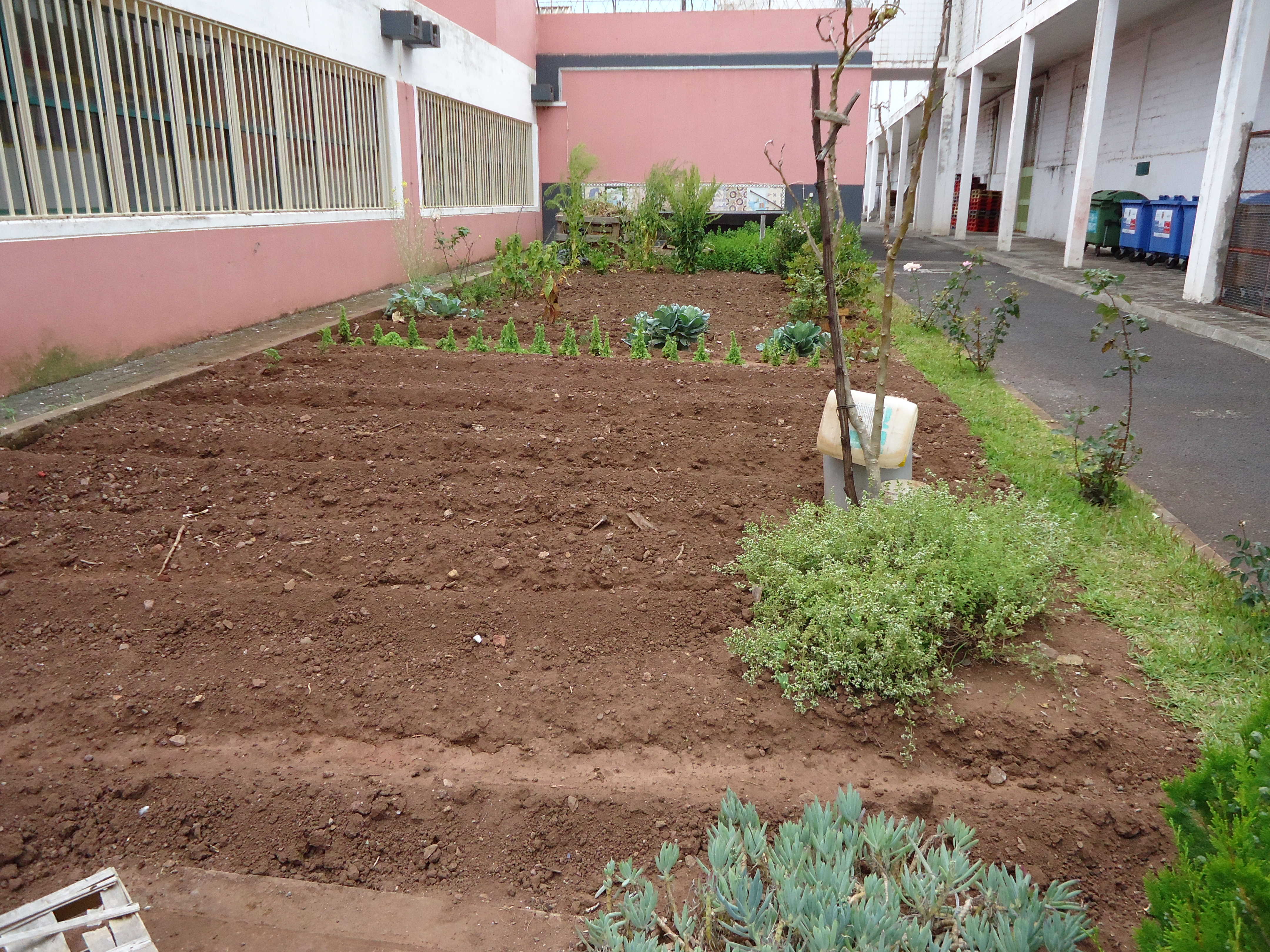 Preparação da terra