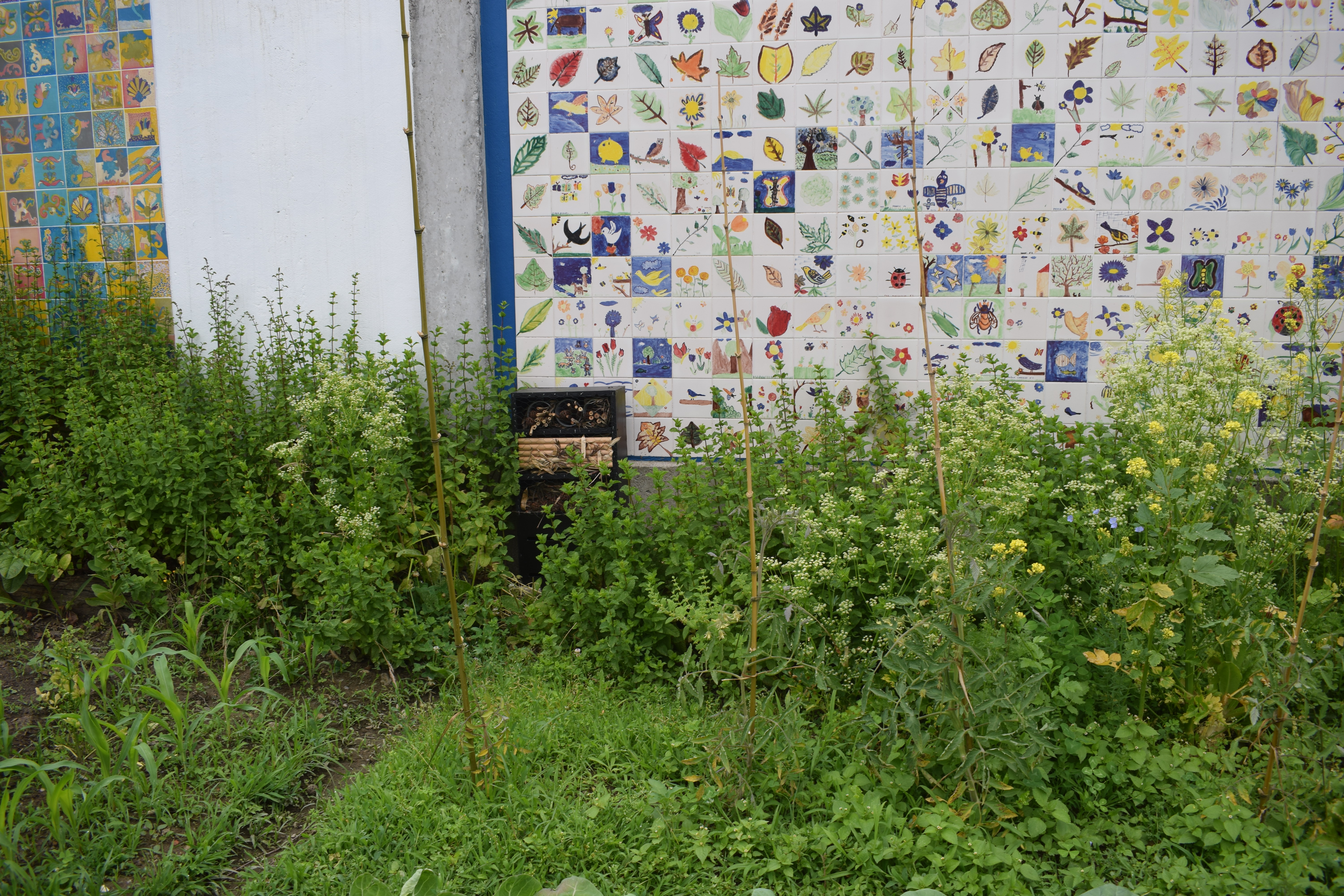 Flores melíferas de apoio aos polinizadores e à polinização das espécies hortícolas plantadas
