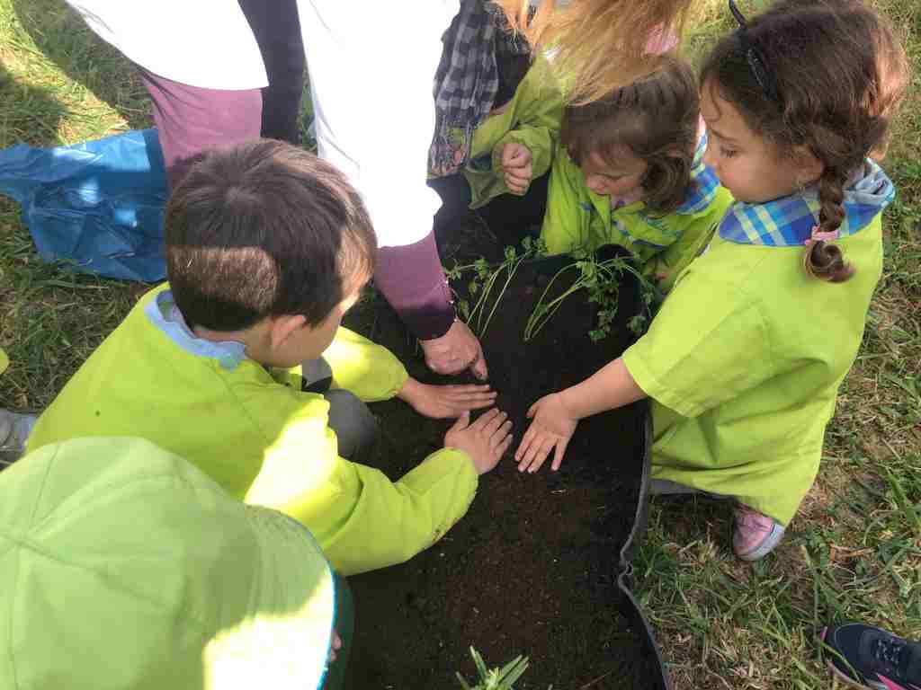 A plantação de ervas aromáticas trazidas de casa pelas crianças