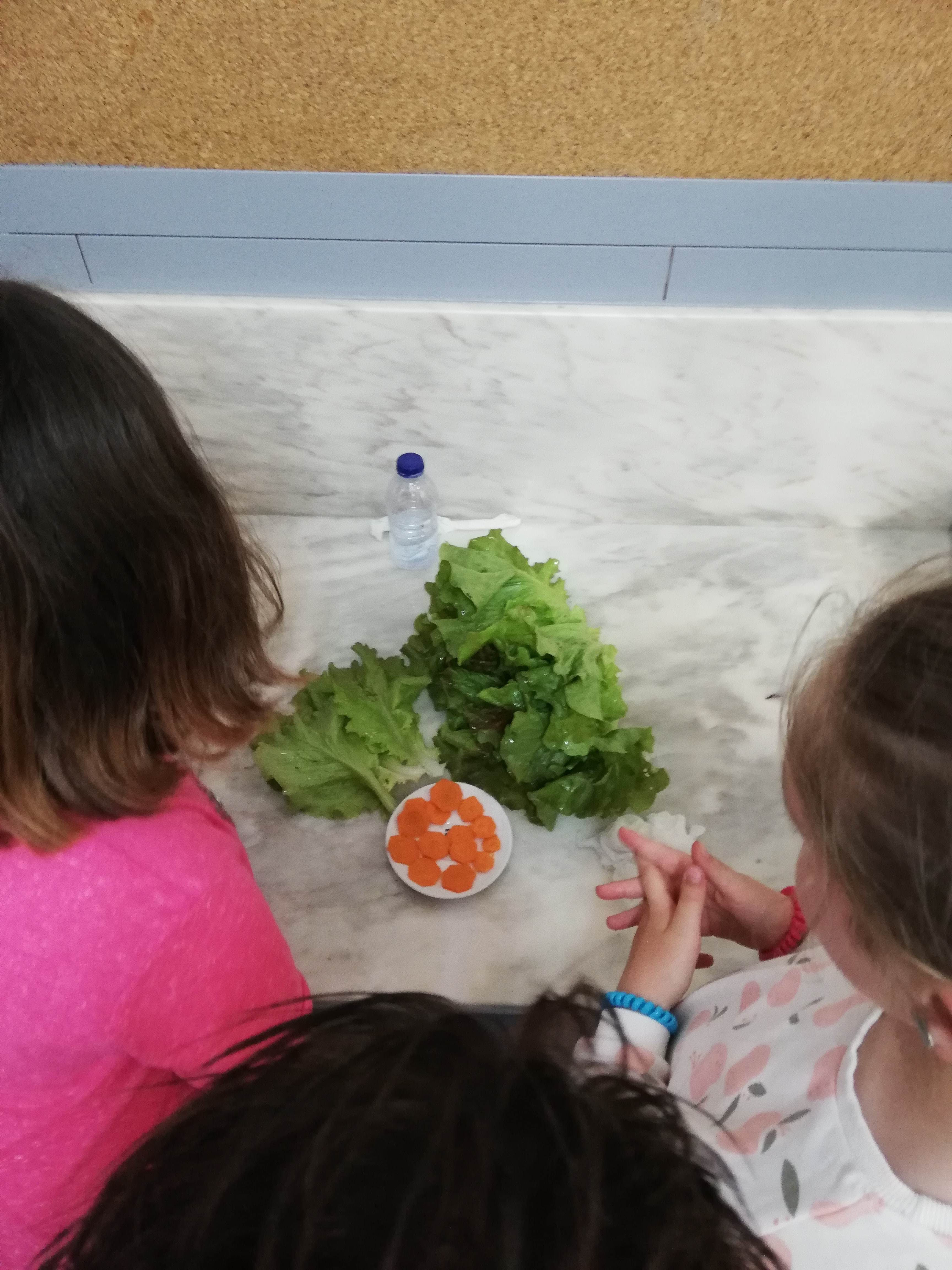 Hora da degustação: "da horta para a mesa".