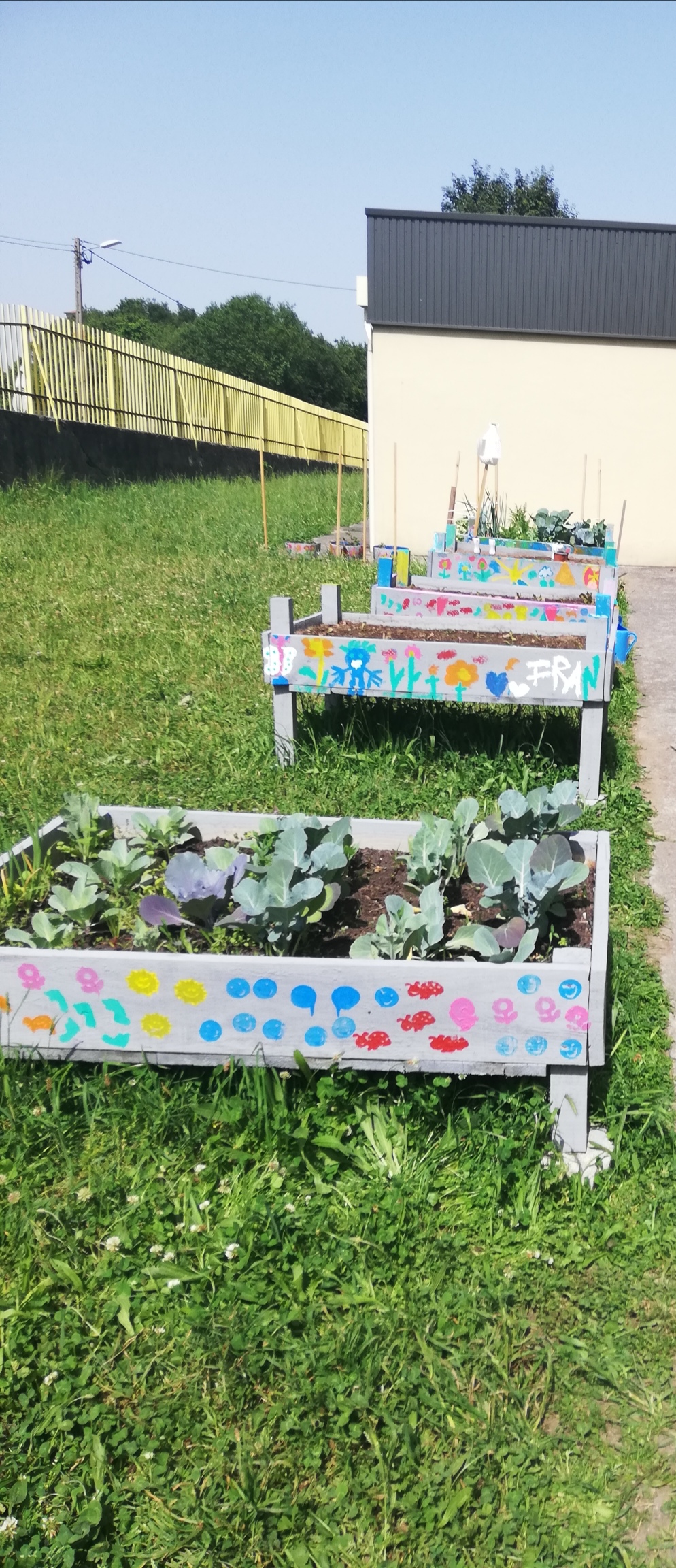 As nossas Hortas Bio com as plantas em crescimento!