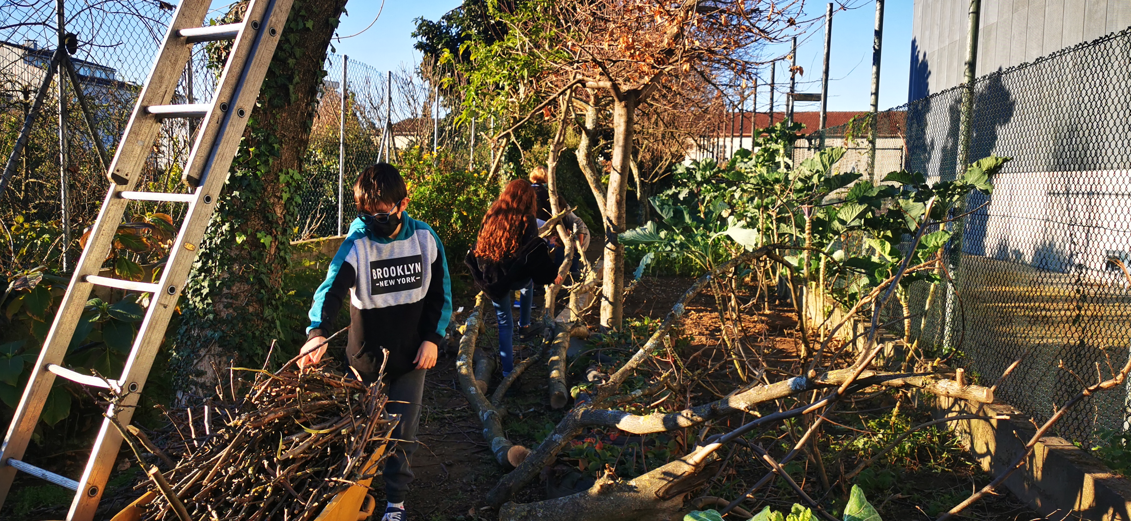 Grupo de alunos ajudando a podarem as árvores e a transportarem os ramos para o compostor, no início dos trabalhos da Horta