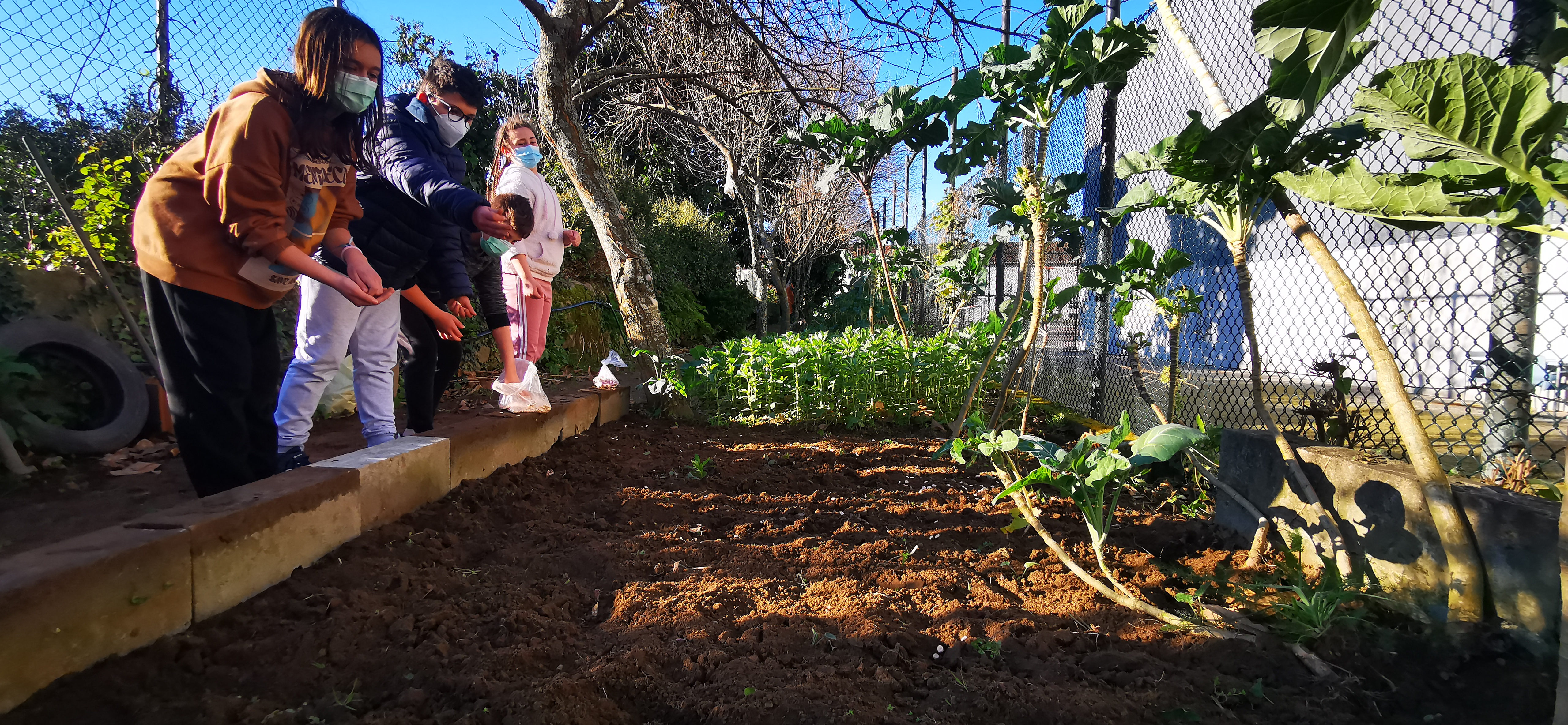 Alunos semeando, após terem preparado o terreno