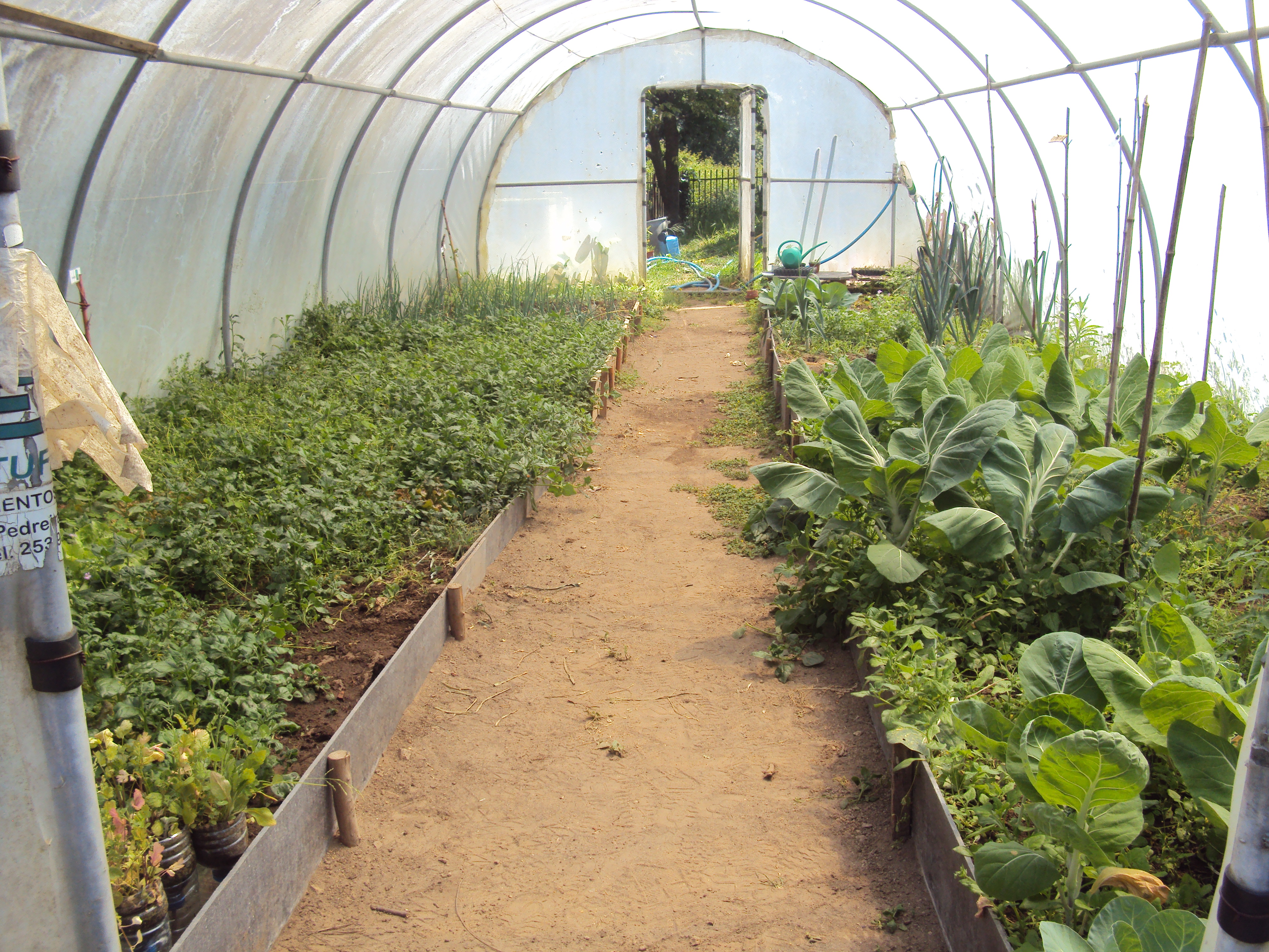 Aspeto global da Horta-Bio